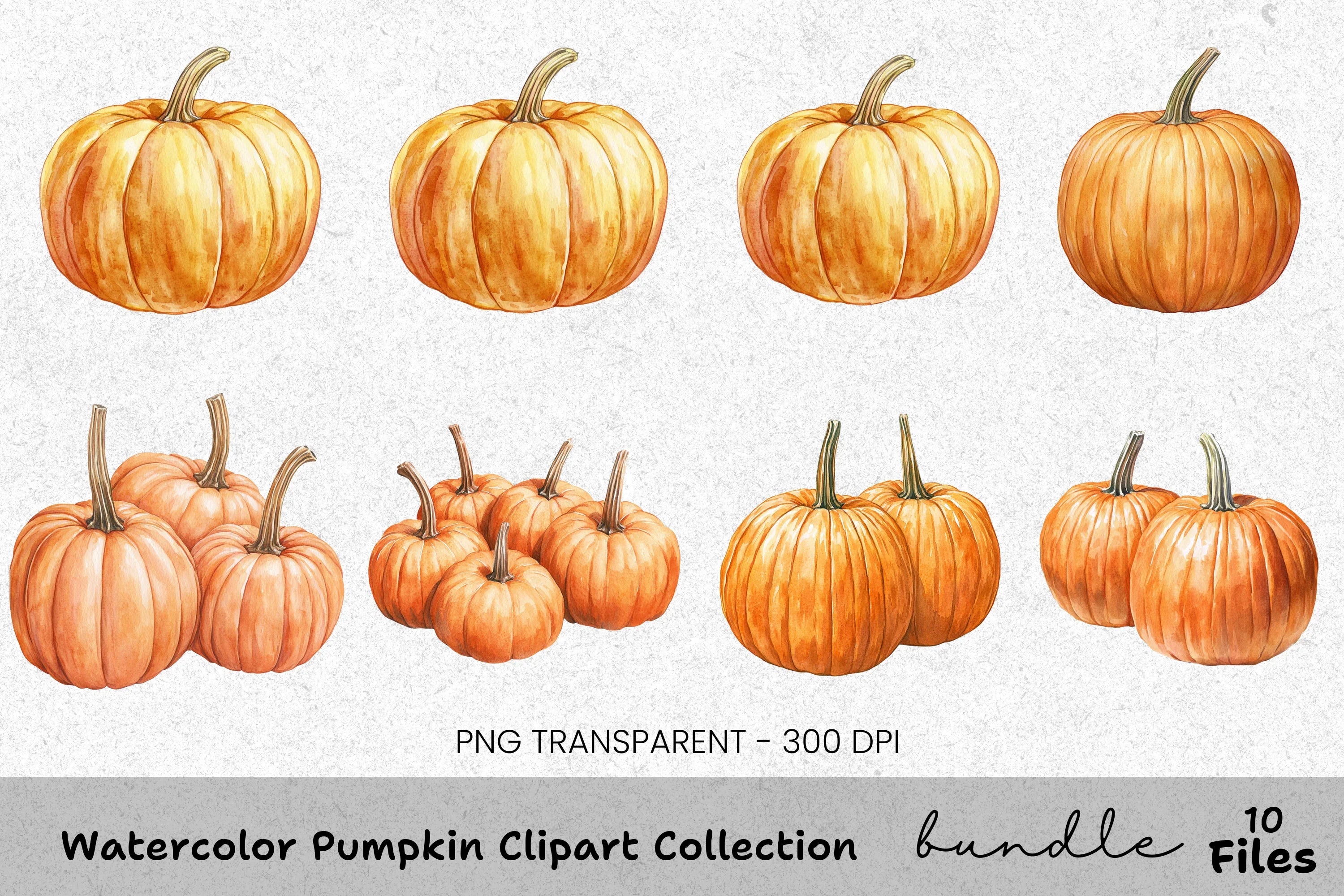 Pumpkin Clipart Bundle