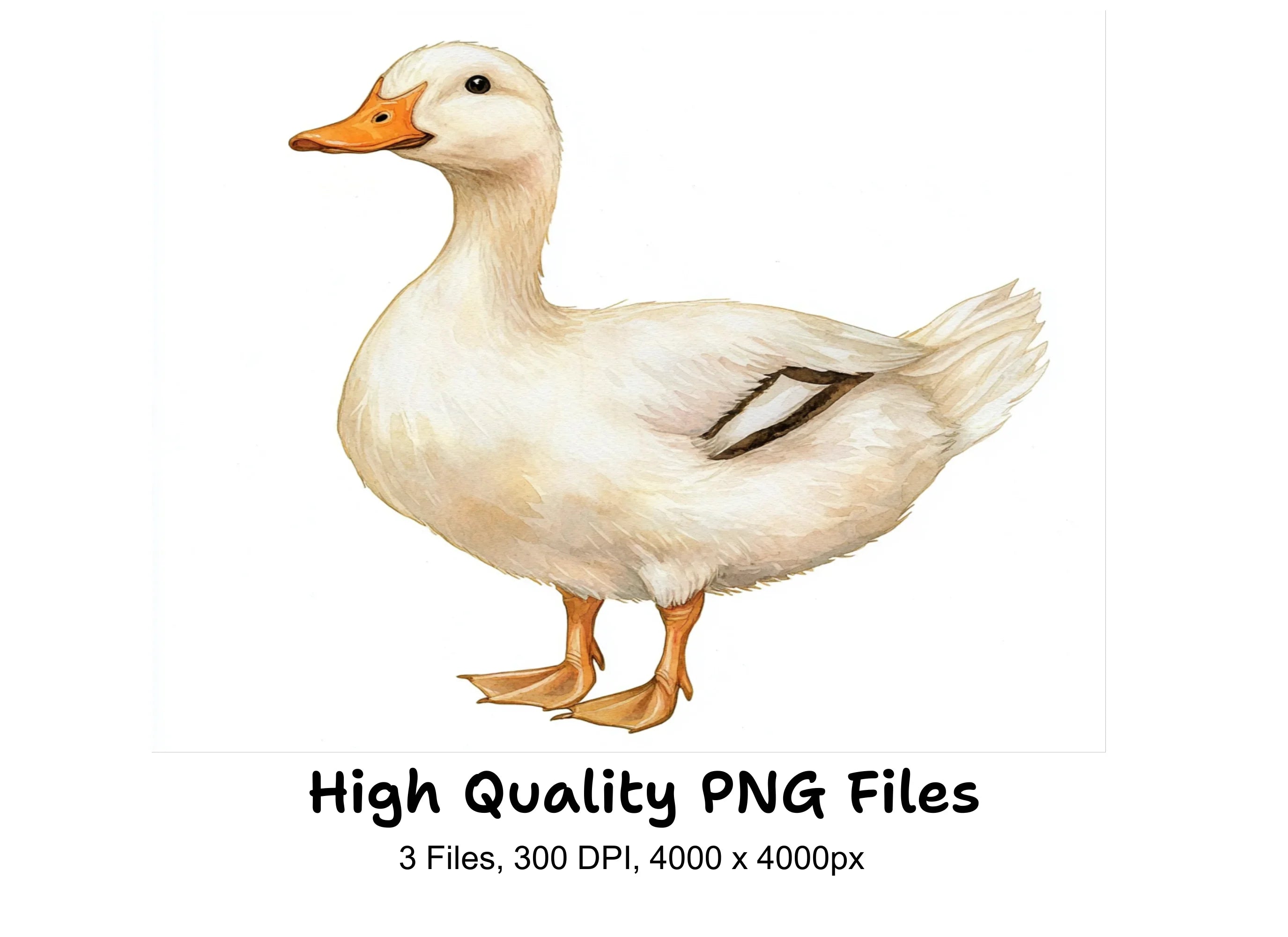 White Duck Clipart Bundle