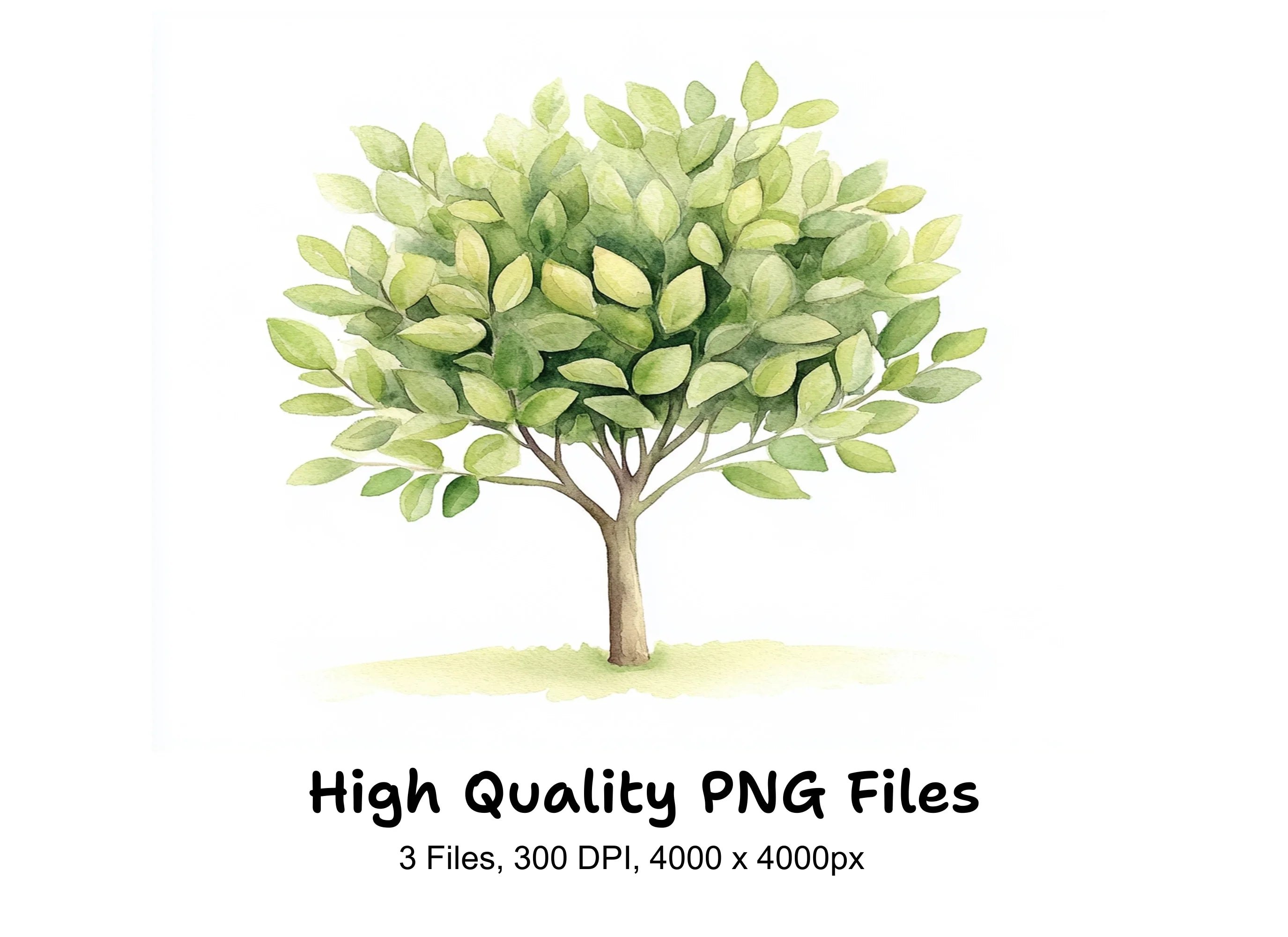 Lush Green Foliage Tree Clipart Bundle