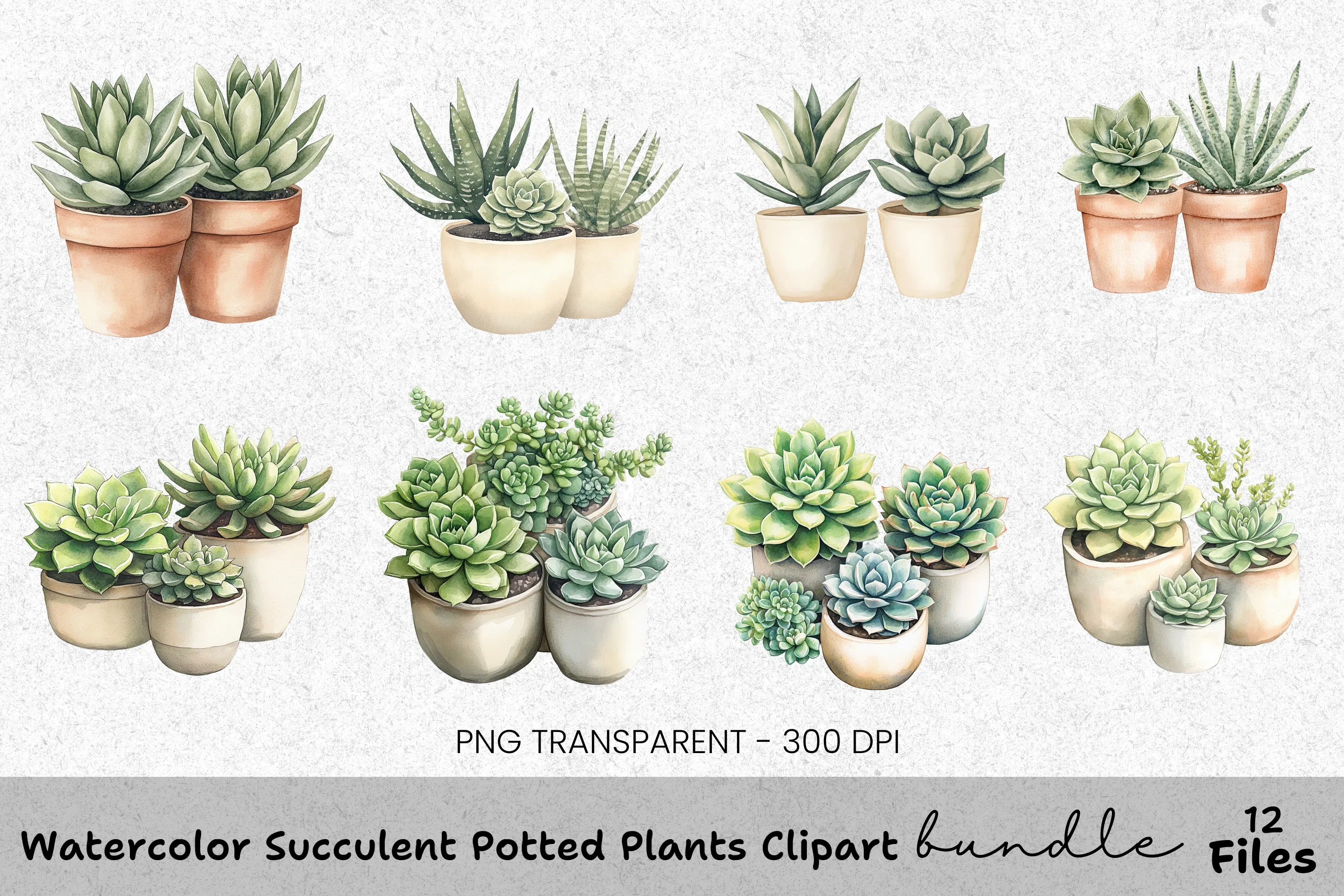 Succulent Potted Plants Clipart Bundle