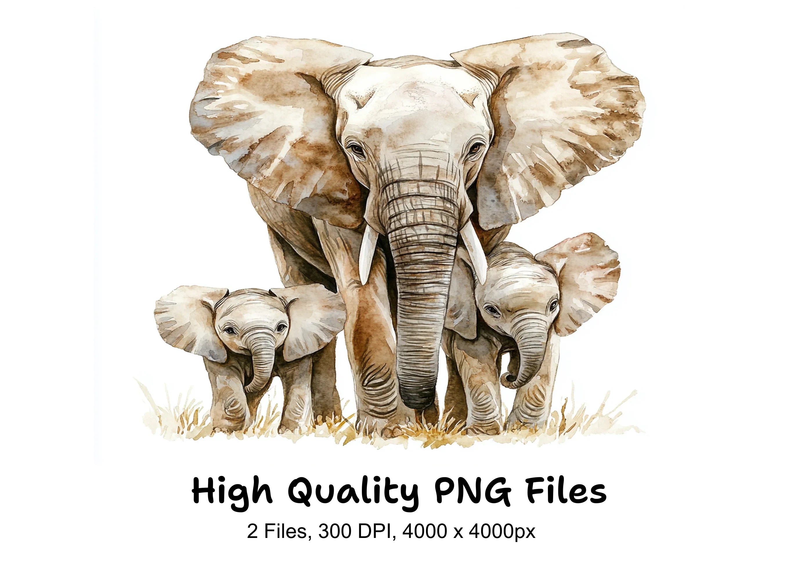 Elephant Family Clipart Bundle