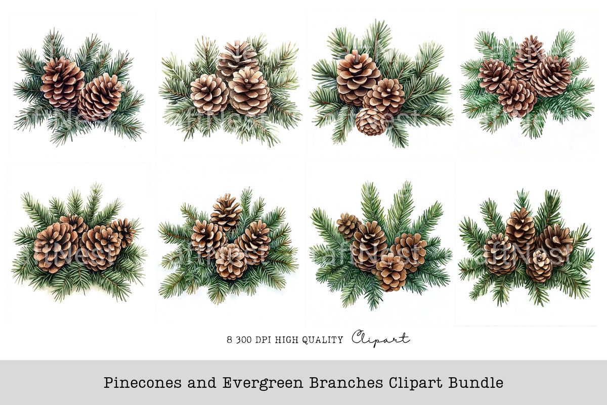 Pinecones And Evergreen Branches Clipart Bundle