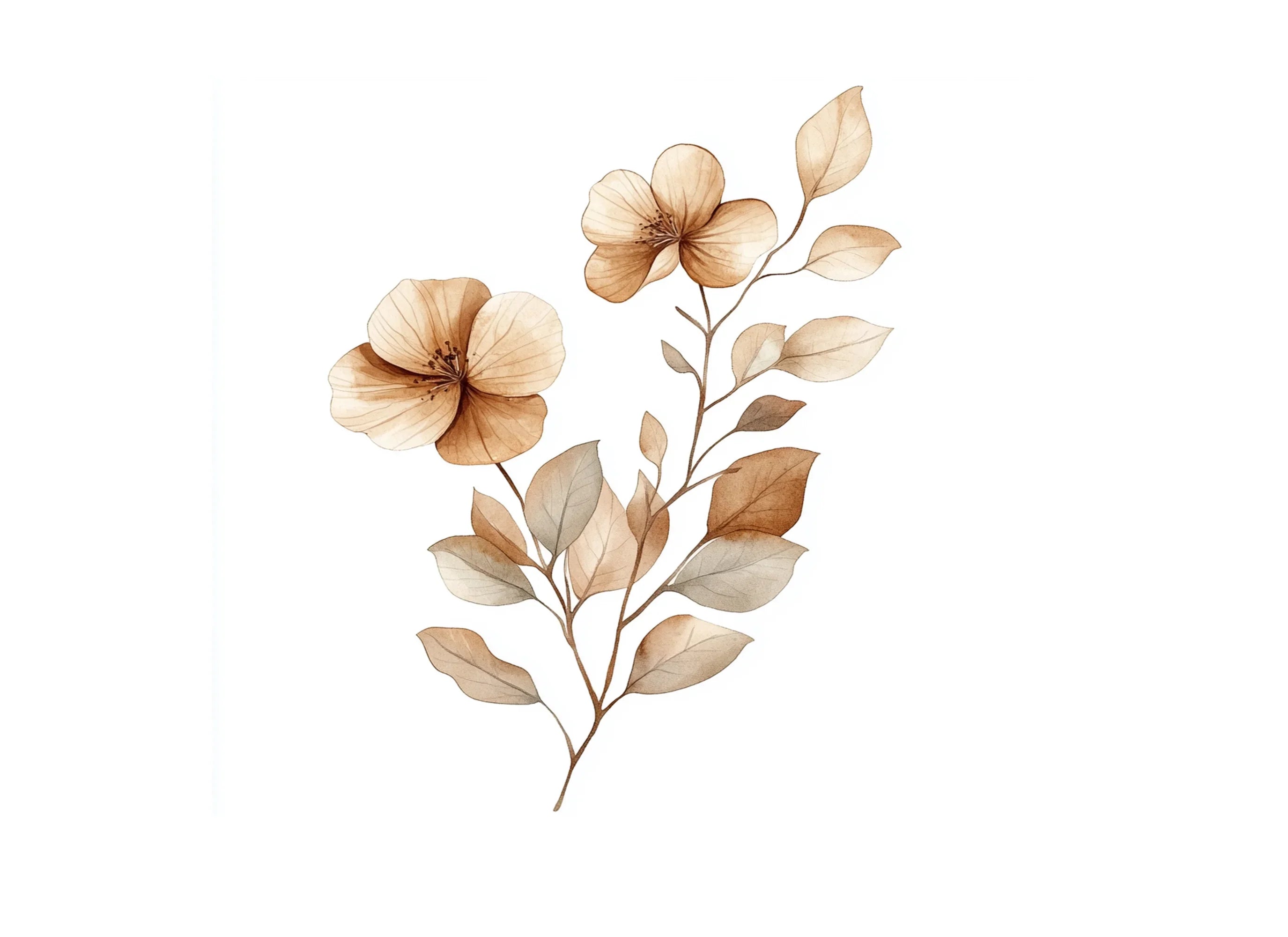 Boho Neutral Floral Clipart Bundle