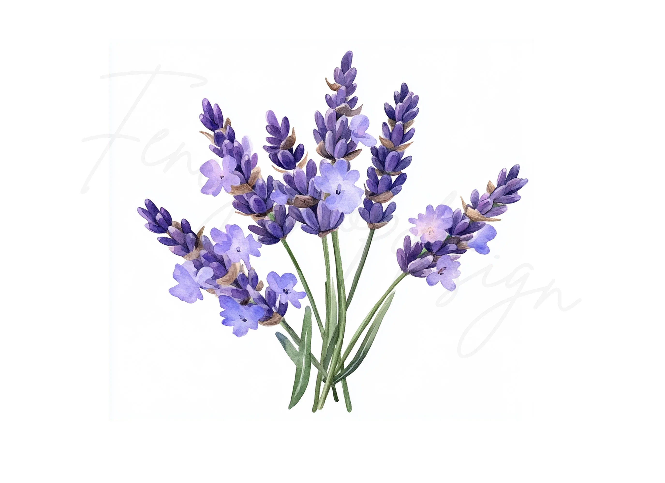 Elegant Lavender Graphics Clipart Bundle