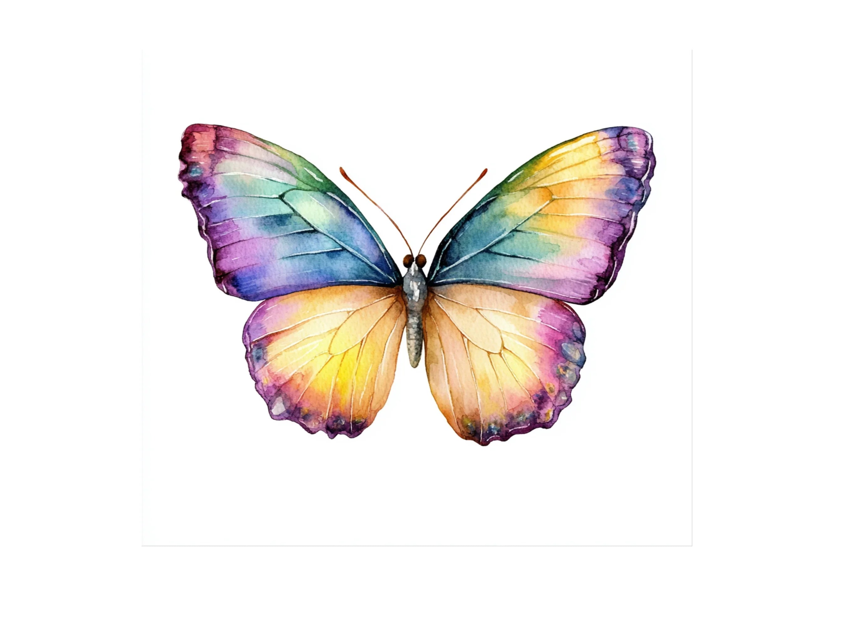 Vibrant Butterfly Clipart Bundle