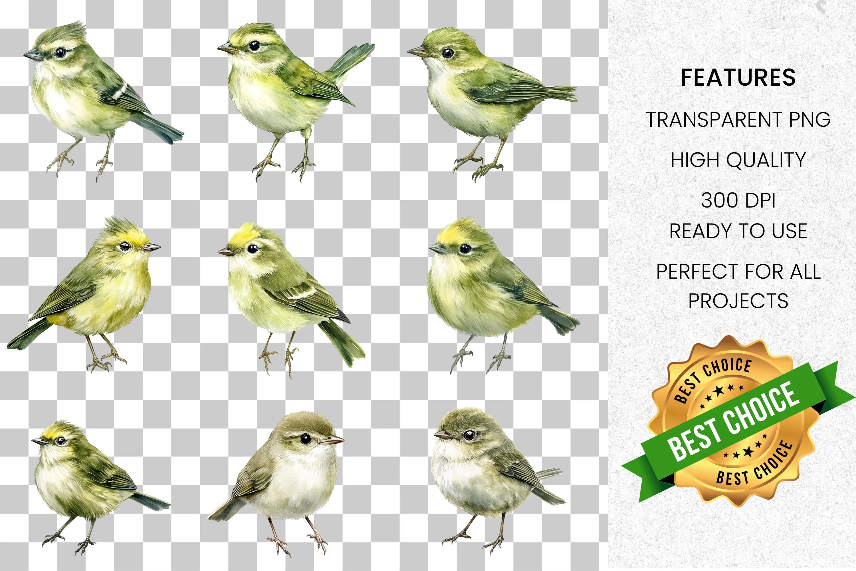 Small Birds Clipart Bundle