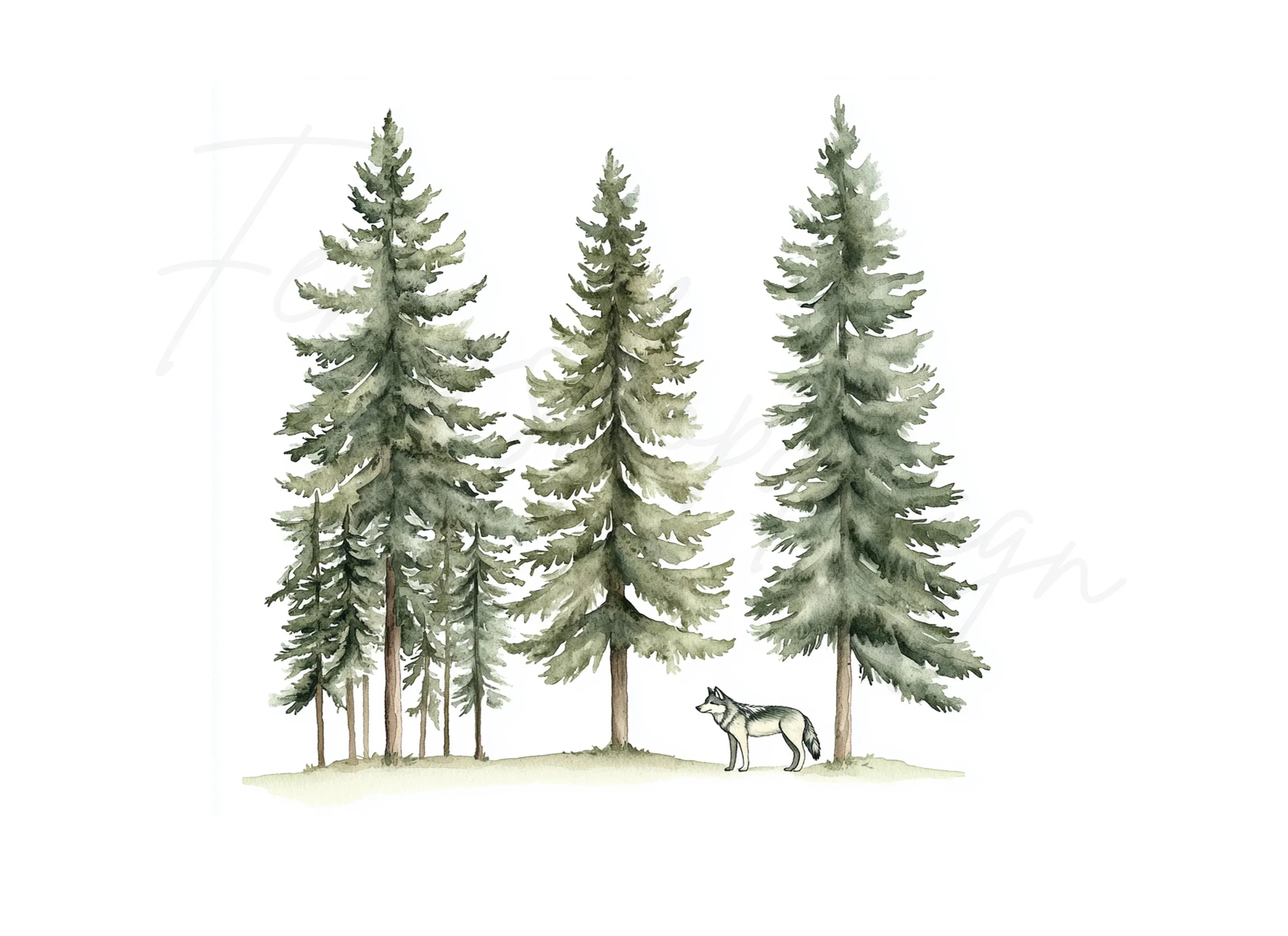 Forest Wolves and Pine Trees Clipart Bundle