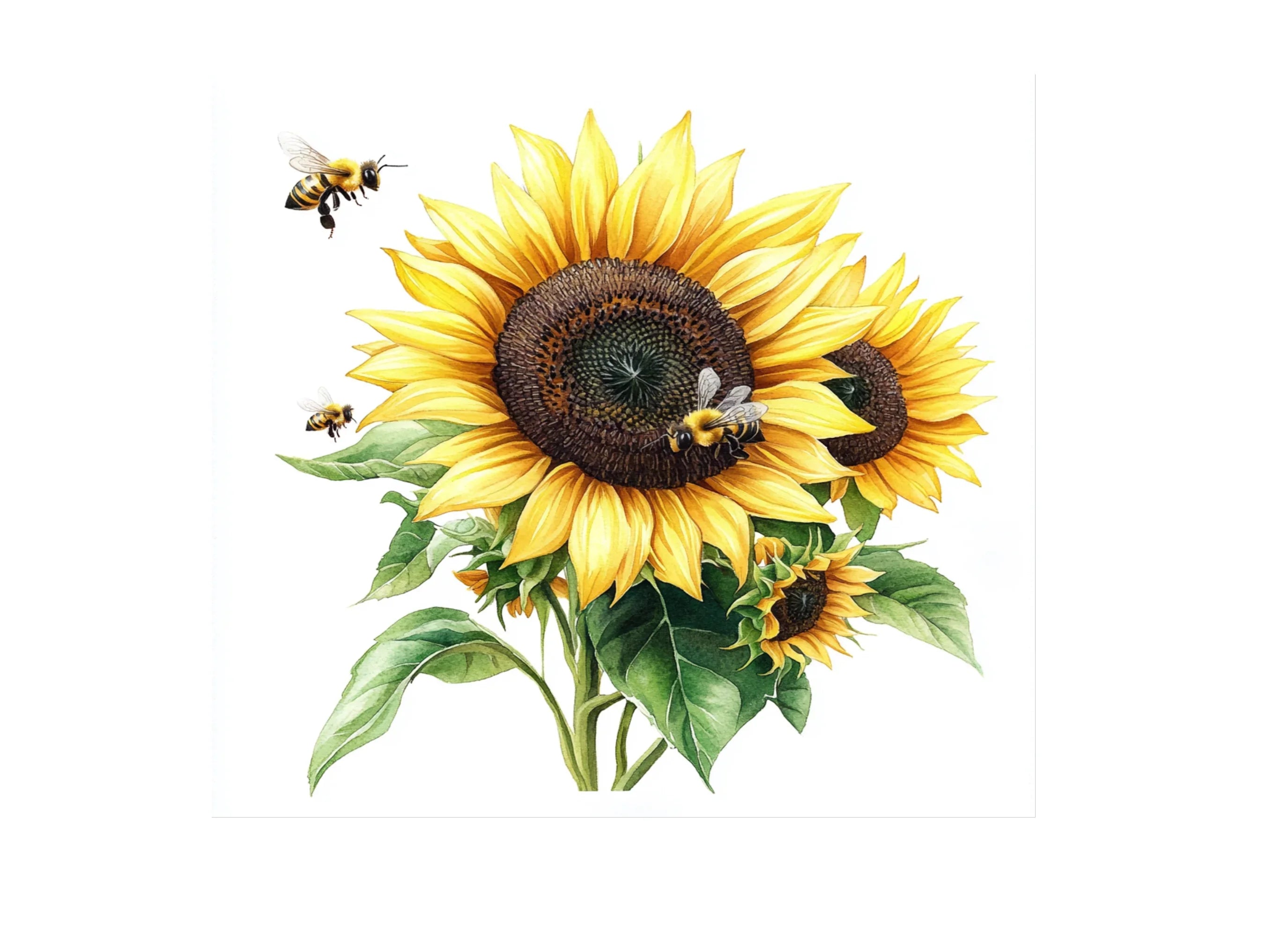 Vibrant Sunflower Bees Clipart Bundle