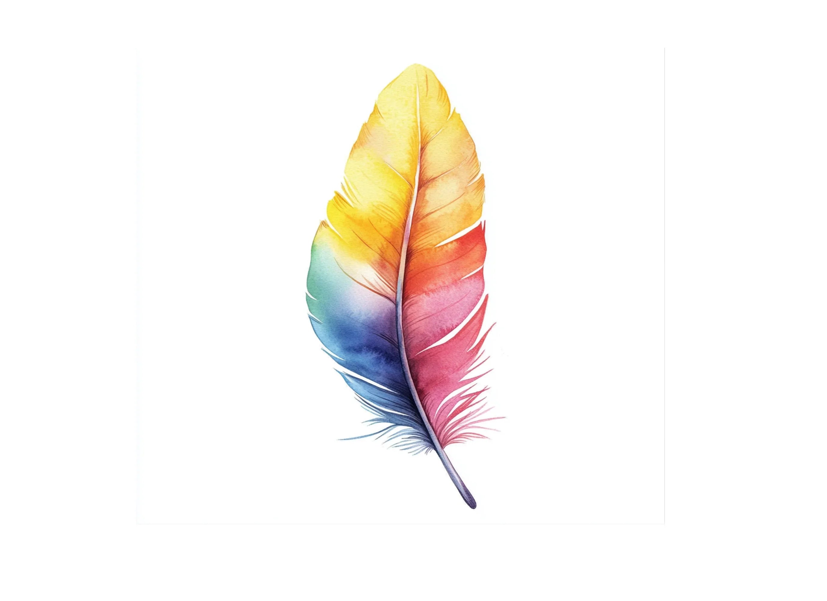 Rainbow Feather Clipart Bundle