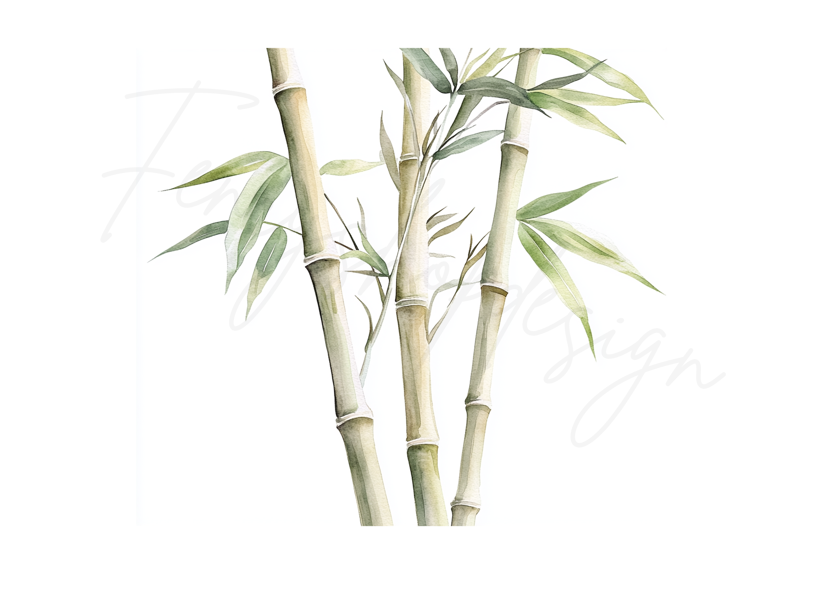 Bamboo Stalks Clipart Bundle