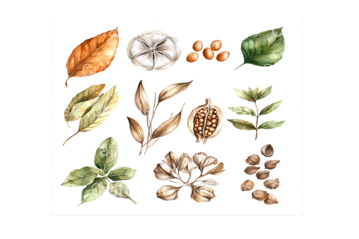 Autumn Leaves Berries Clipart Bundle