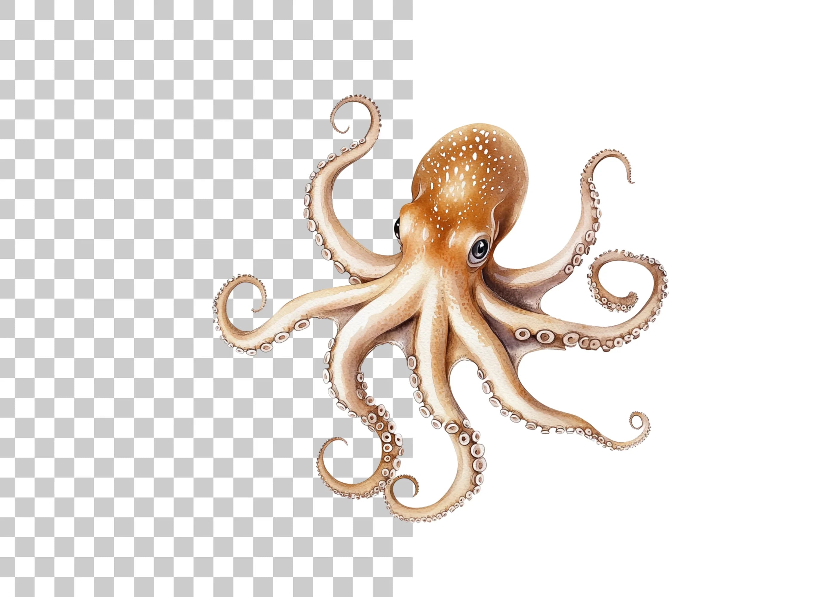 Realistic Octopus Clipart Bundle