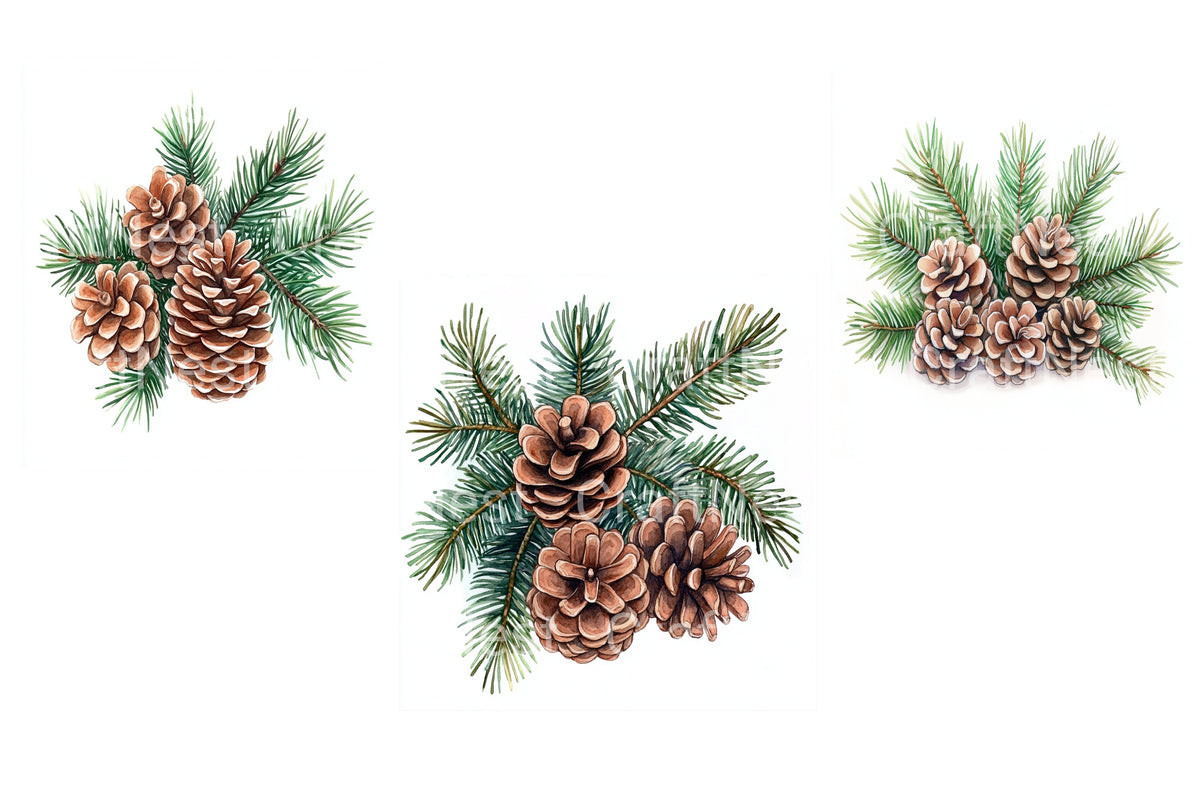 Pine Cones And Evergreen Branches Clipart Bundle
