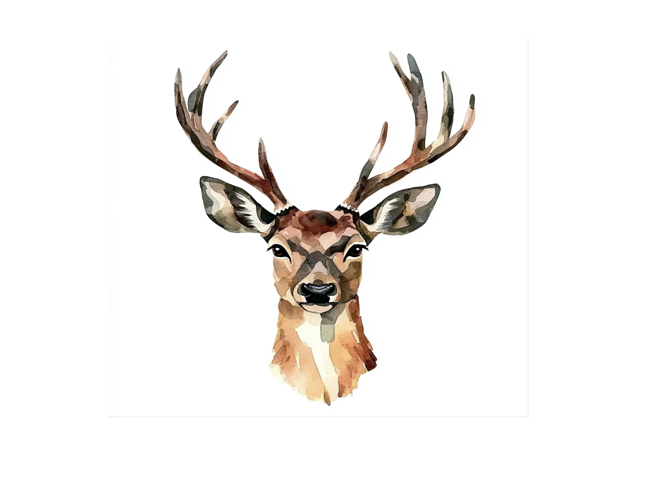 Deer Head Clipart Bundle