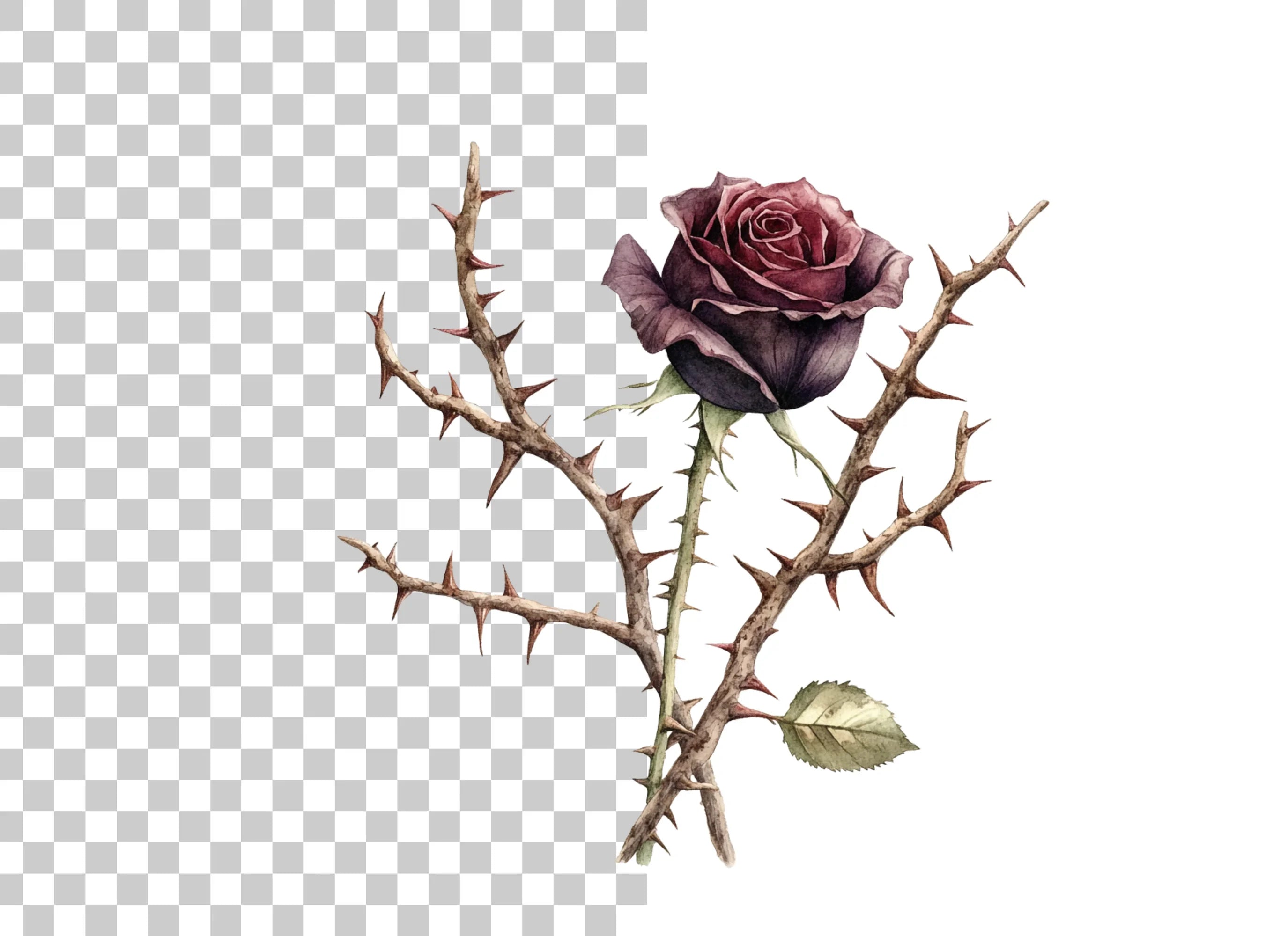 Dark Roses and Thorns Clipart Bundle