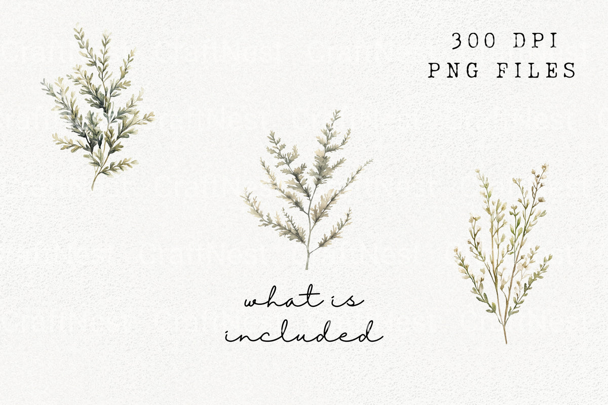 Wild Grass Sprigs Illustrations Clipart Bundle