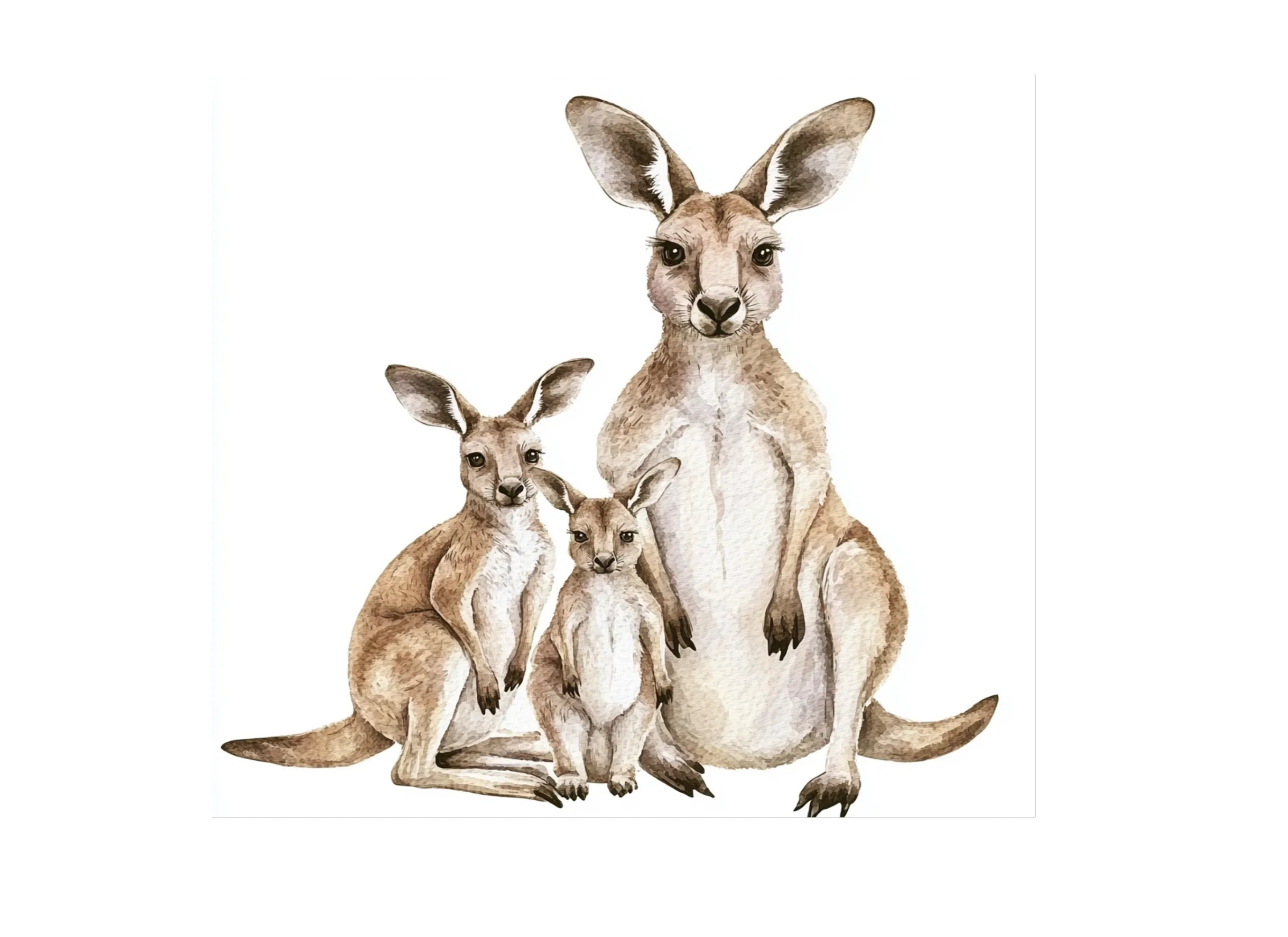 Cute Kangaroo Family Clipart Bundle