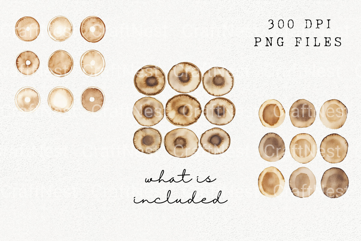 Wooden Slice Textures Clipart Bundle
