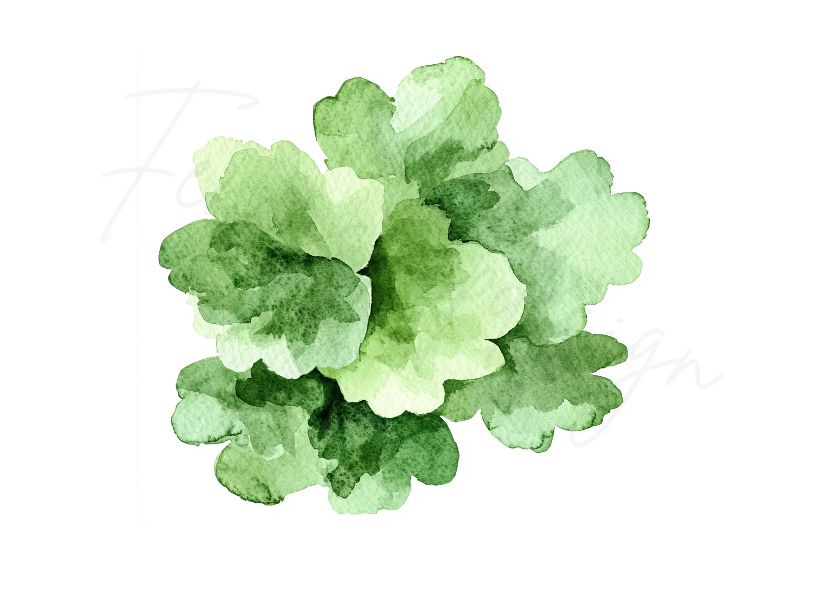 Greenery Clipart Bundle