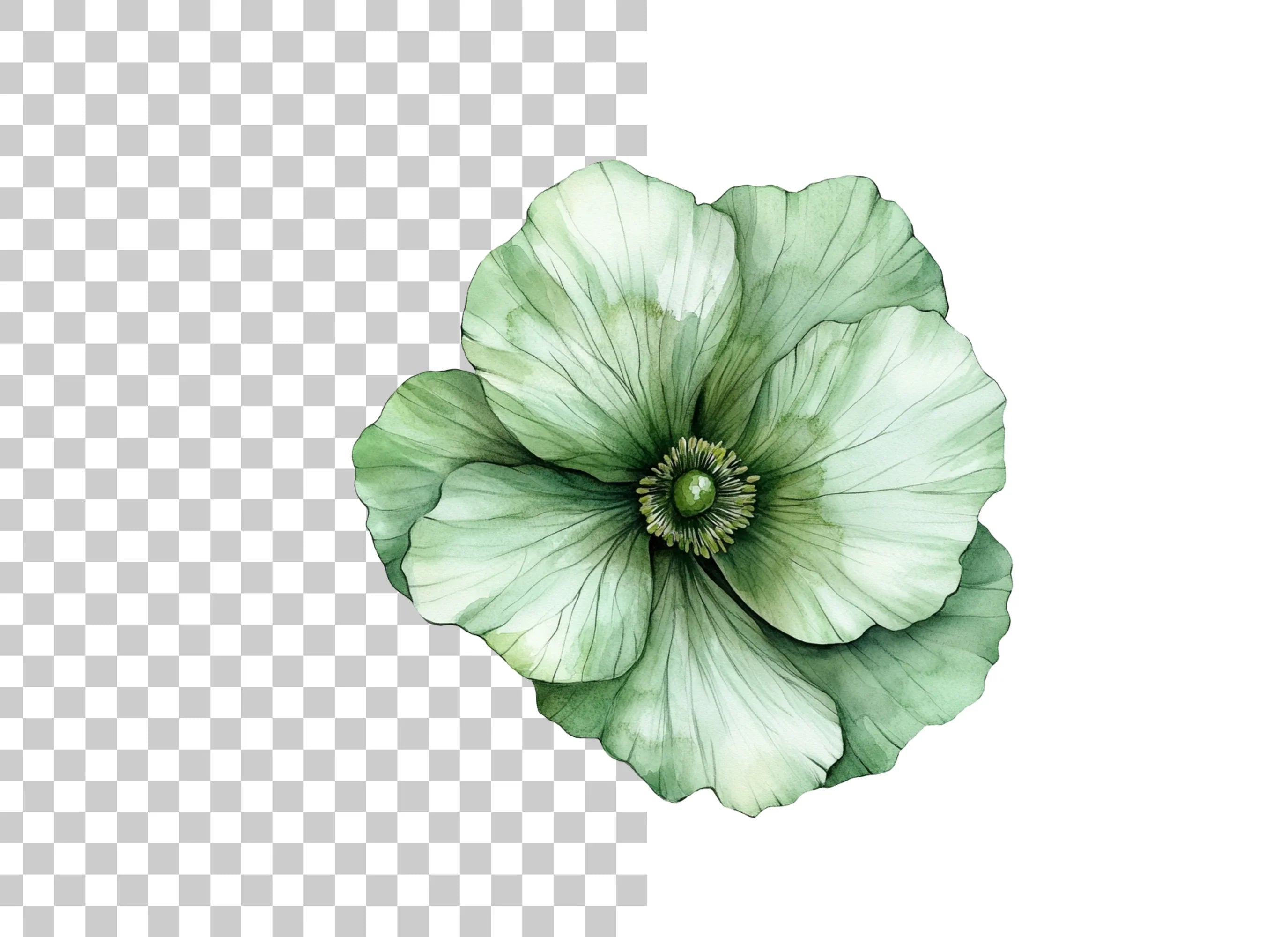 Elegant Green Peony Flower Clipart Bundle