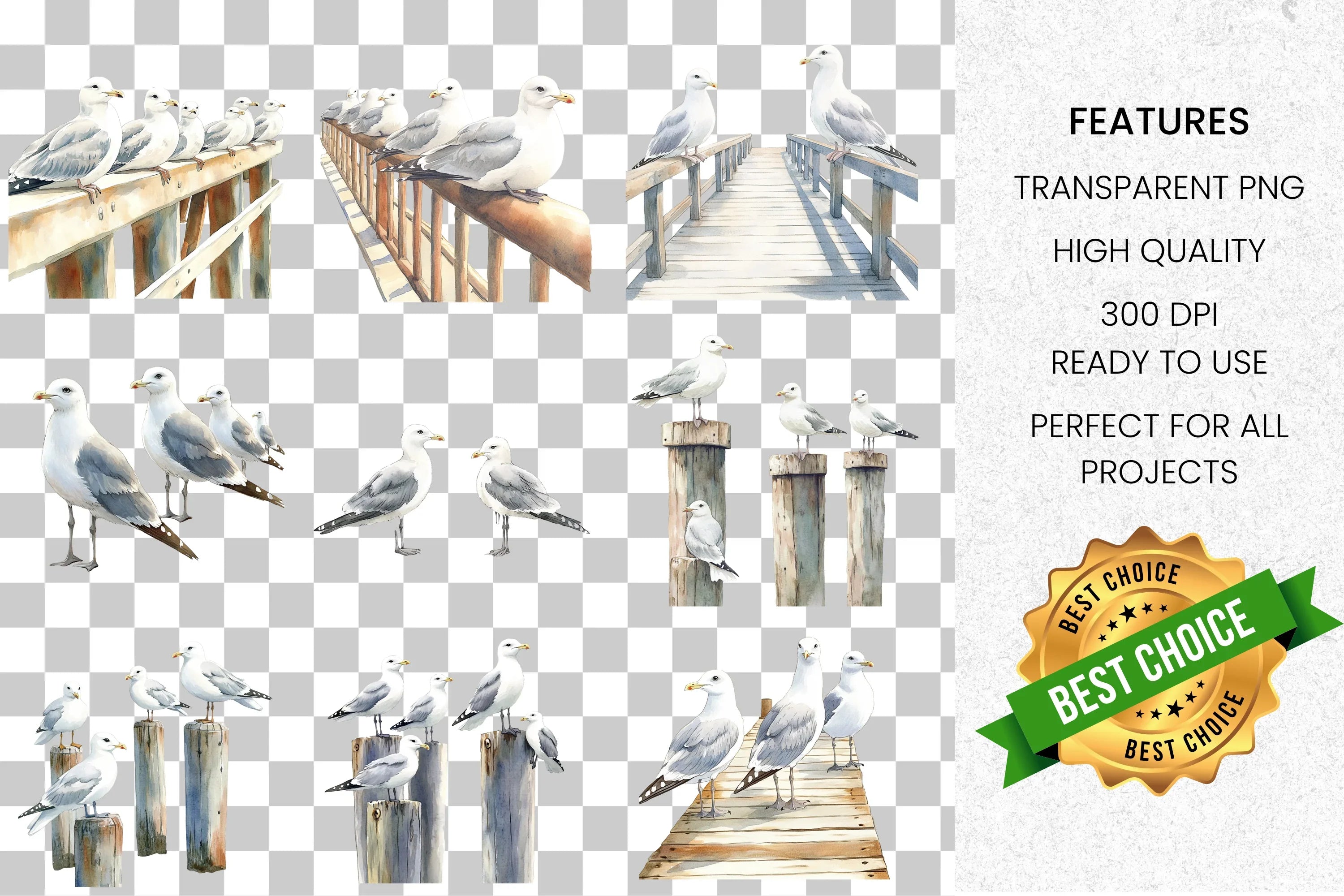 Seagull Coastal Marine Birds Clipart Bundle