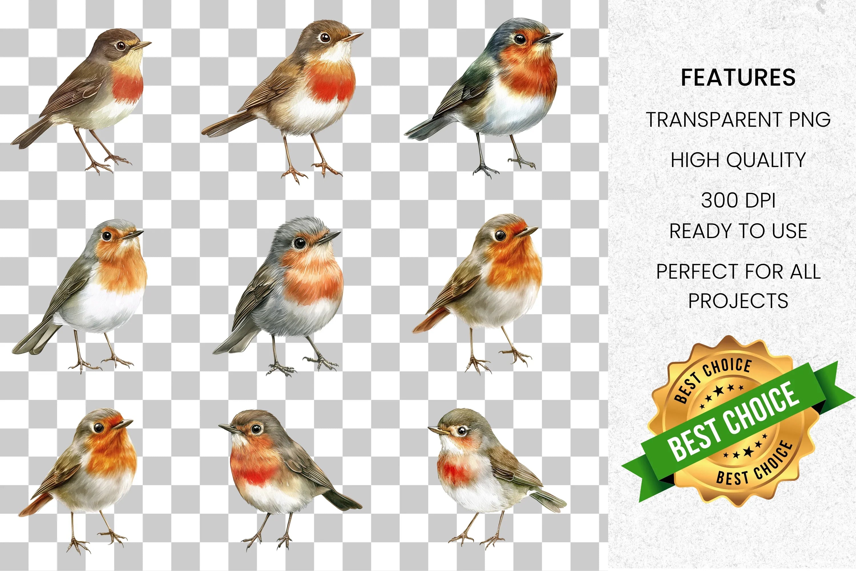 Robin Bird Clipart Bundle