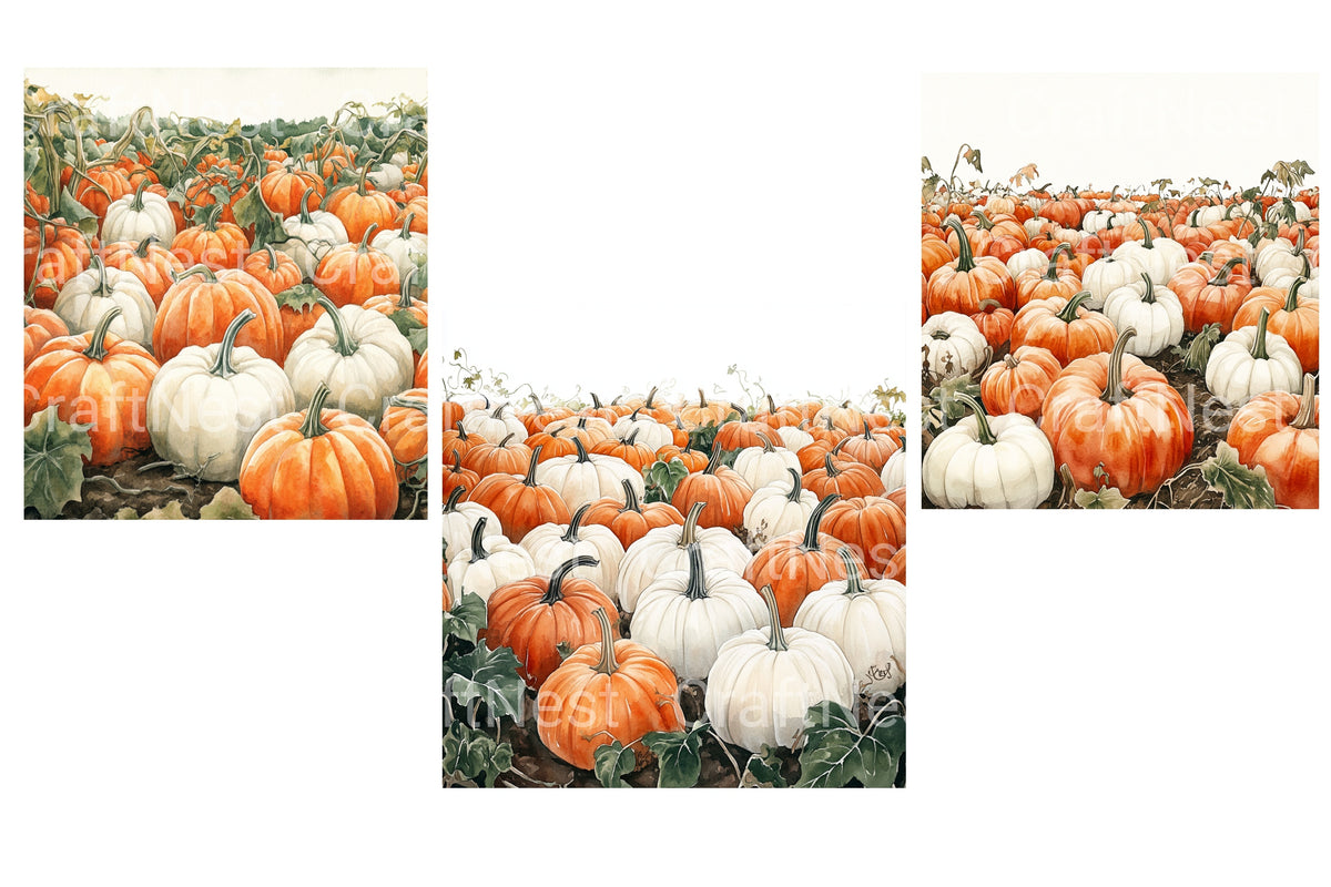 Pumpkin Patch Field Clipart Bundle