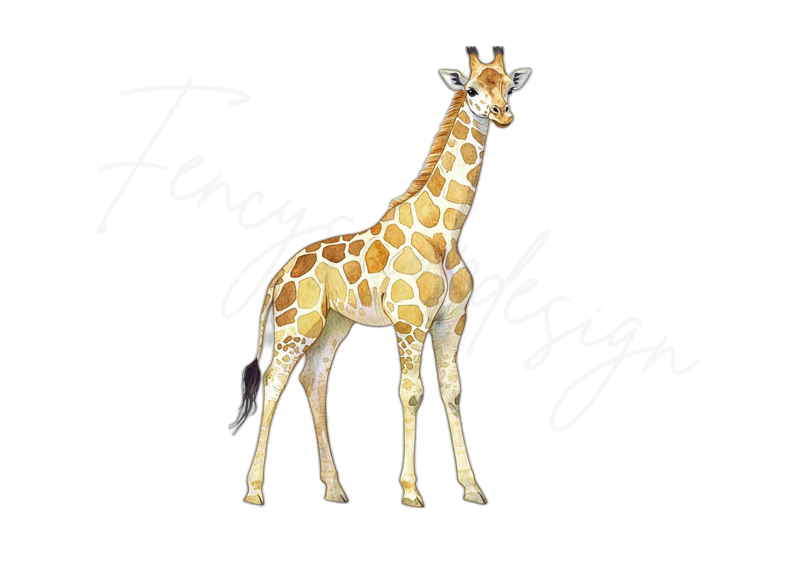 Giraffe Clipart Bundle