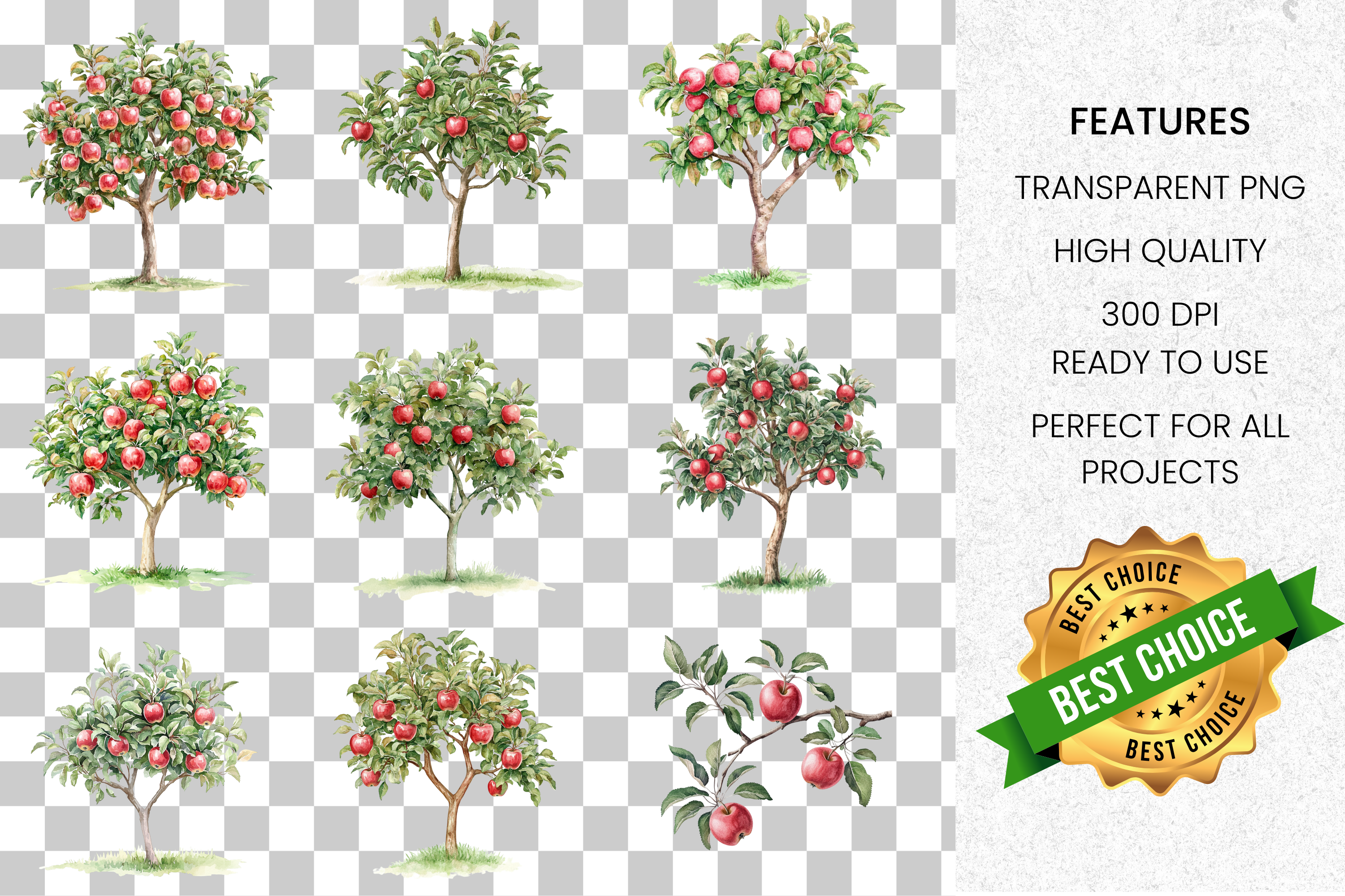 Apple Tree Branch Clipart Bundle