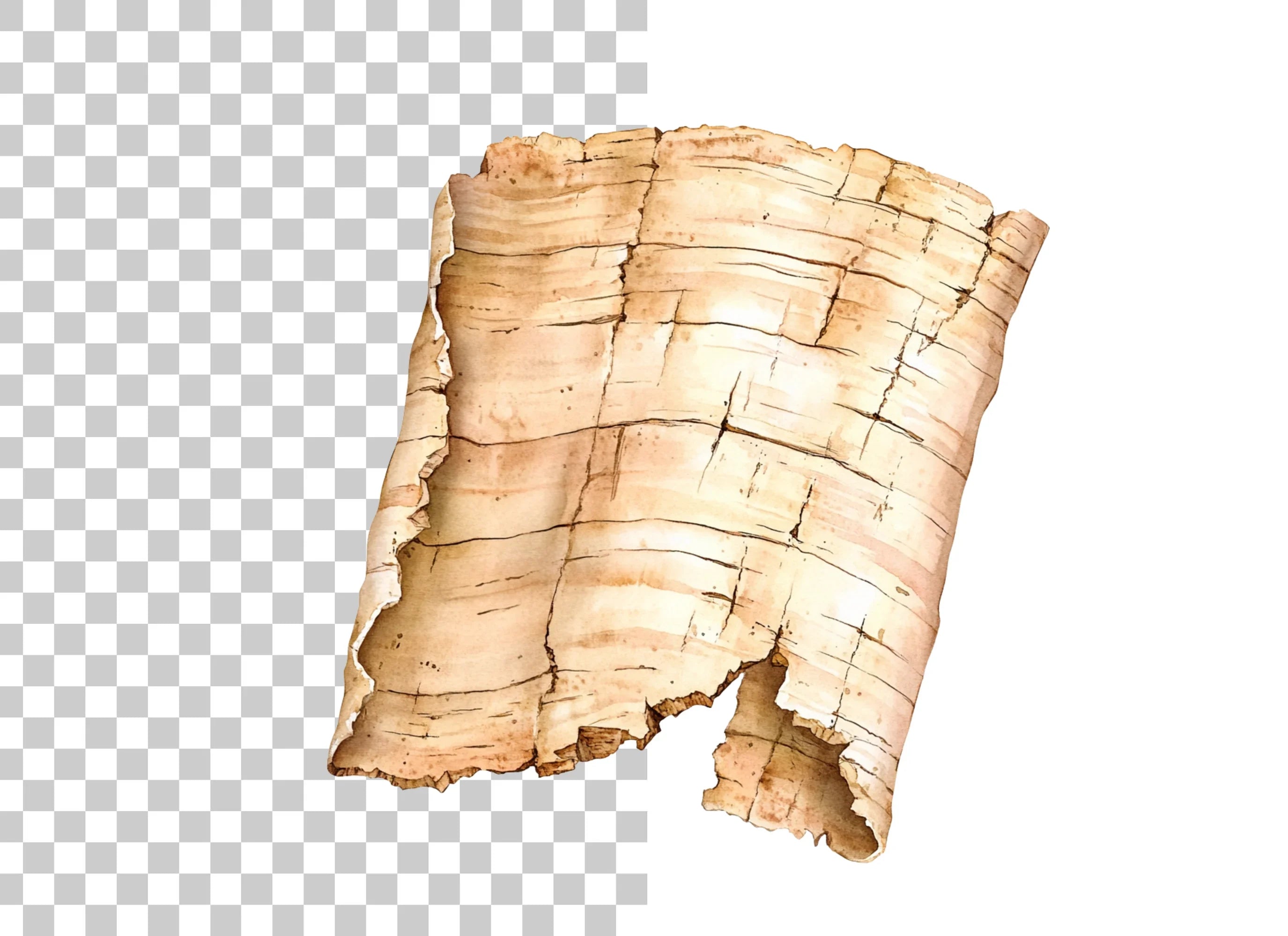 Birch Bark Clipart Bundle