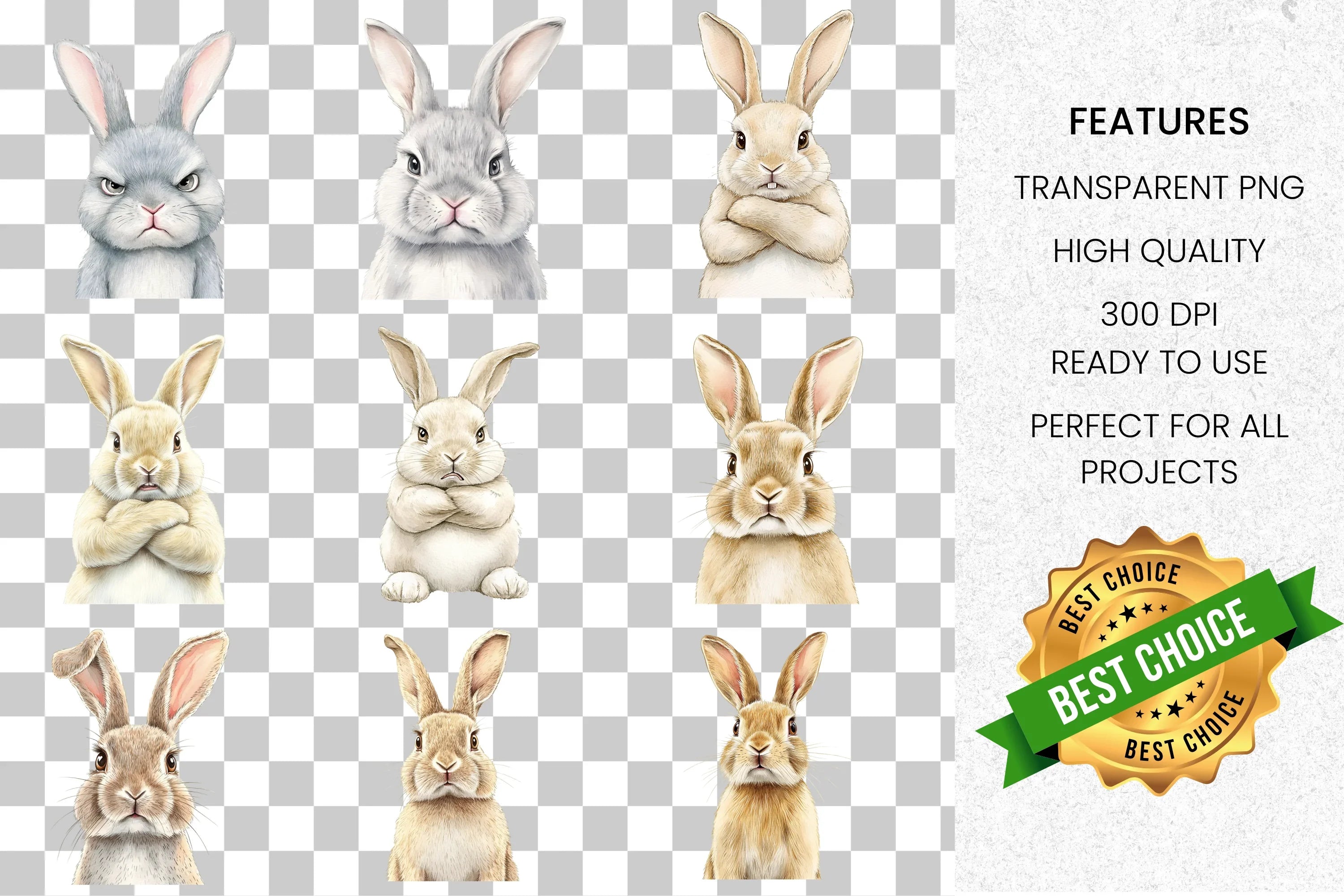 Rabbit Clipart Bundle