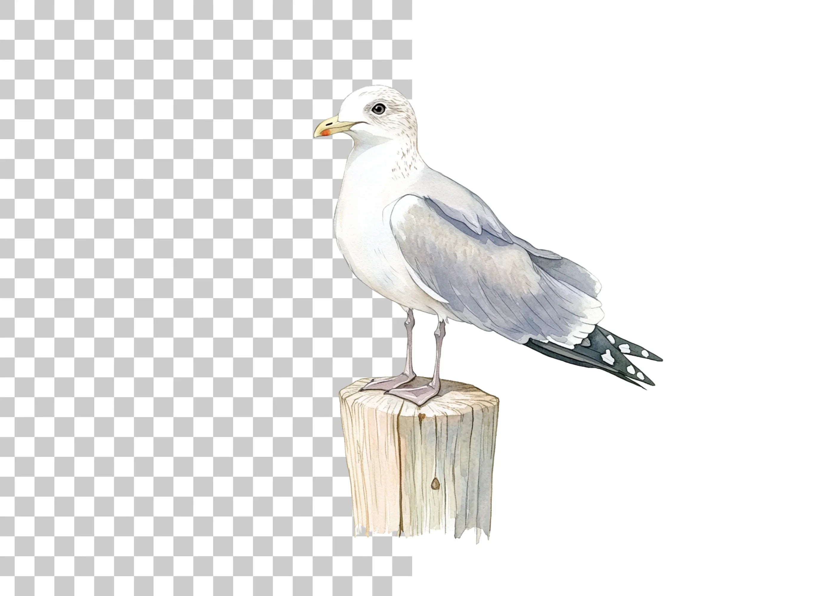 Seagulls on Wooden Posts Clipart Bundle