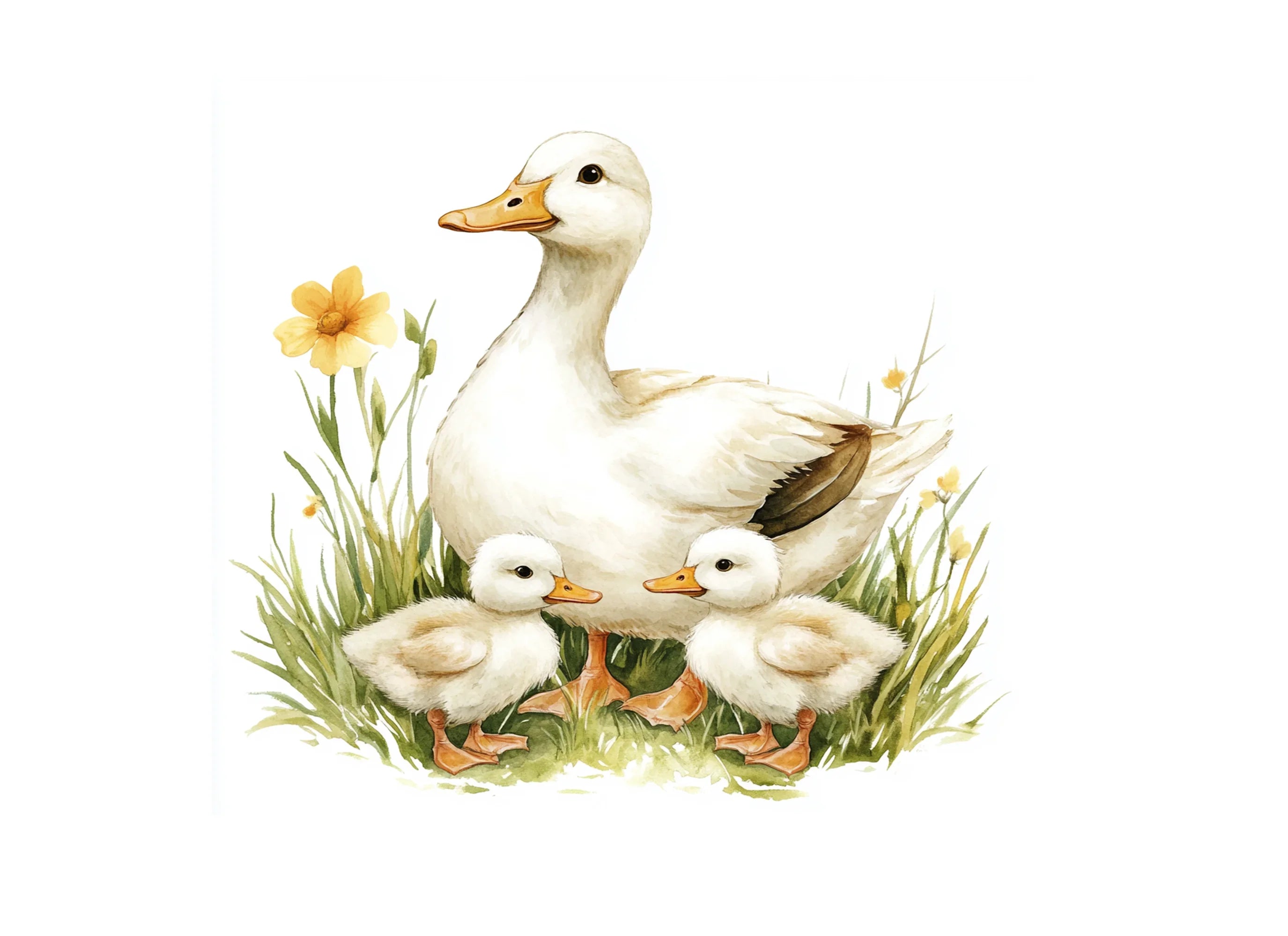 Mother Duck and Ducklings in Grass Clipart Bundle