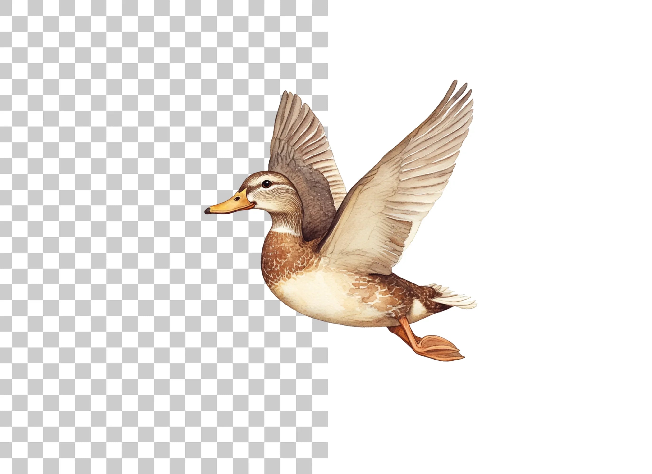 Graceful Flying Duck Clipart Bundle