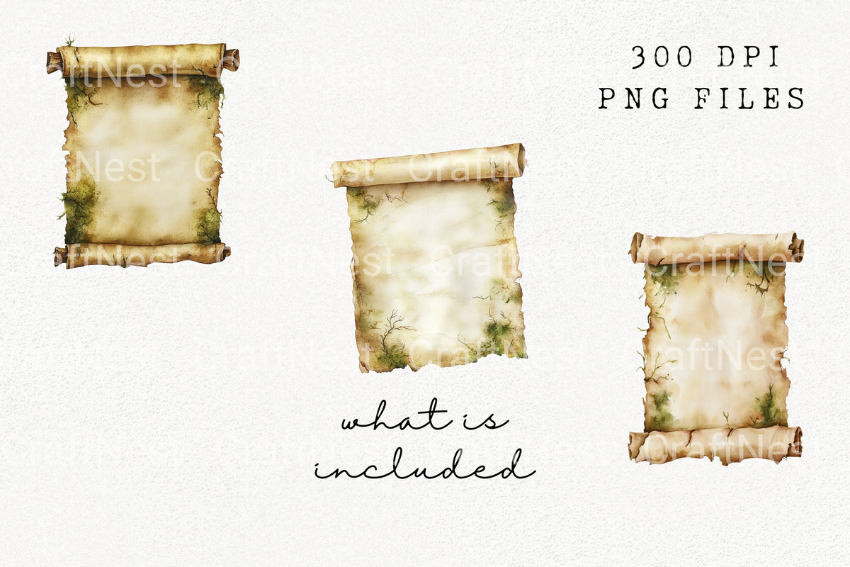 Mossy Scroll Illustrations Clipart Bundle