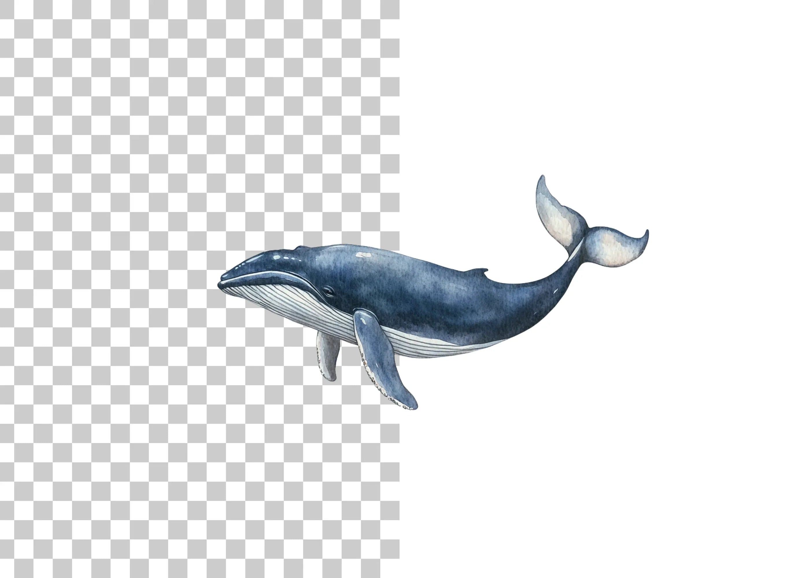 Blue Whales Clipart Bundle
