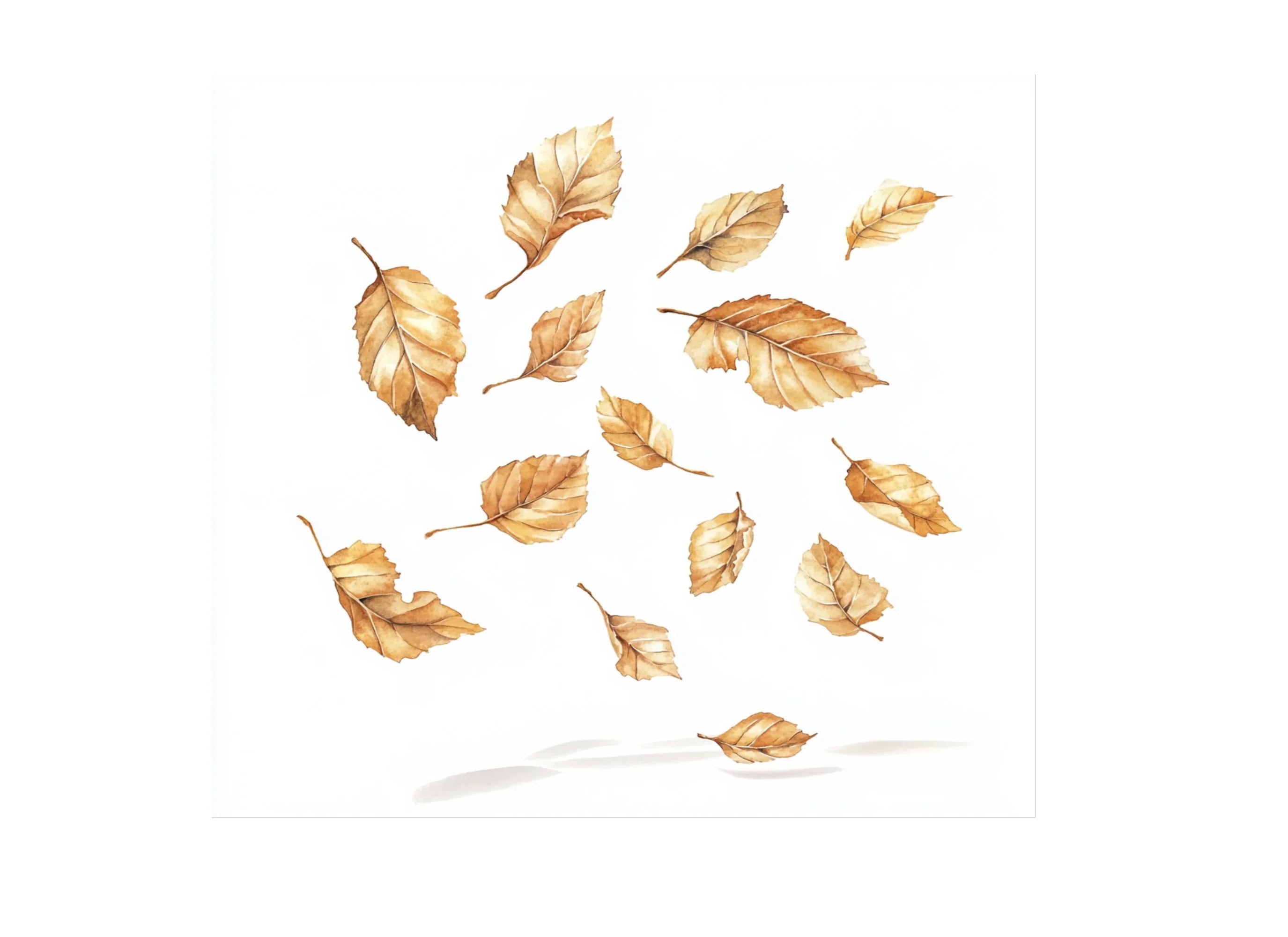 Autumn Leaves Clipart Bundle