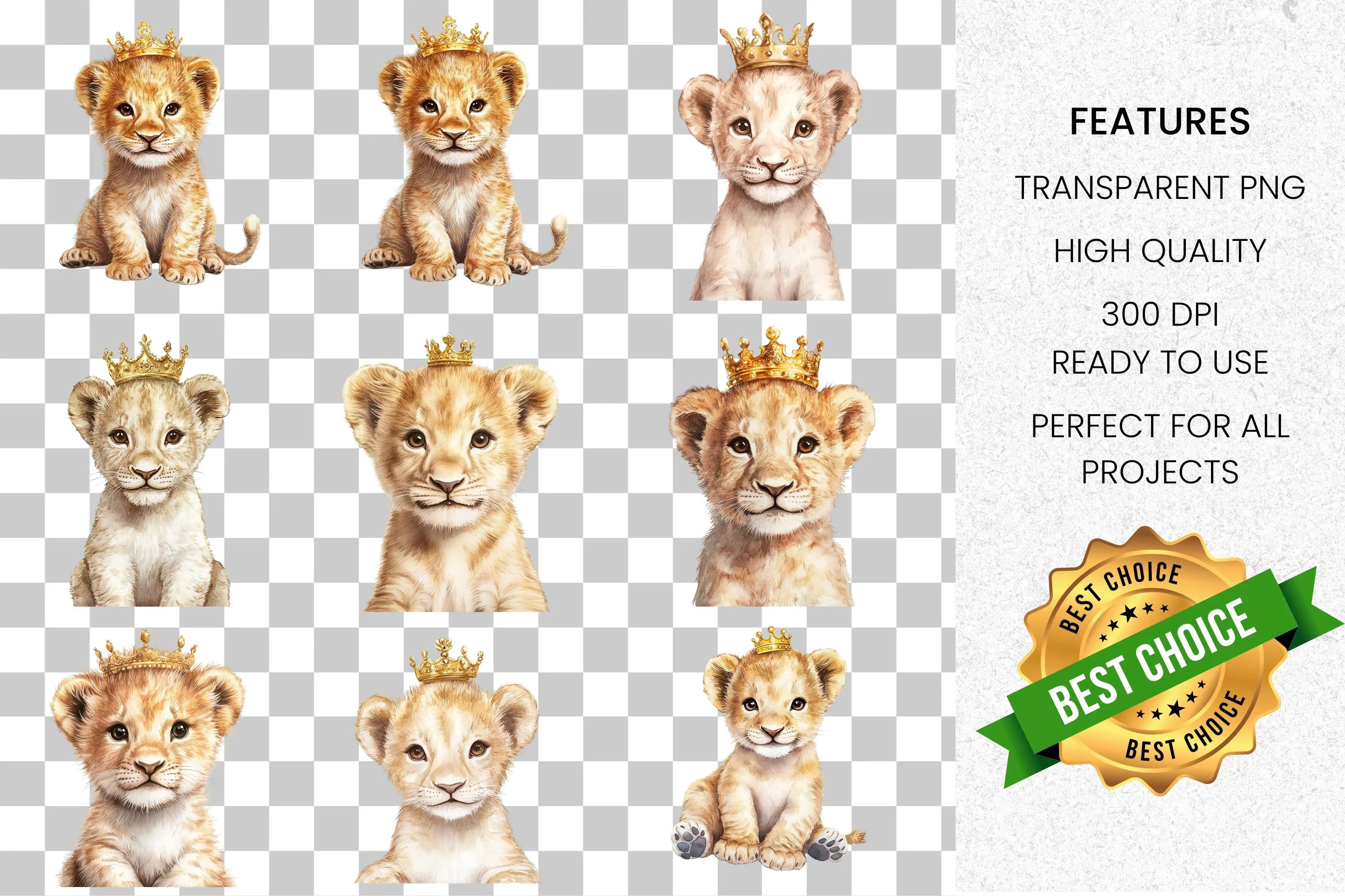 Cute Lion Cub King Clipart Bundle