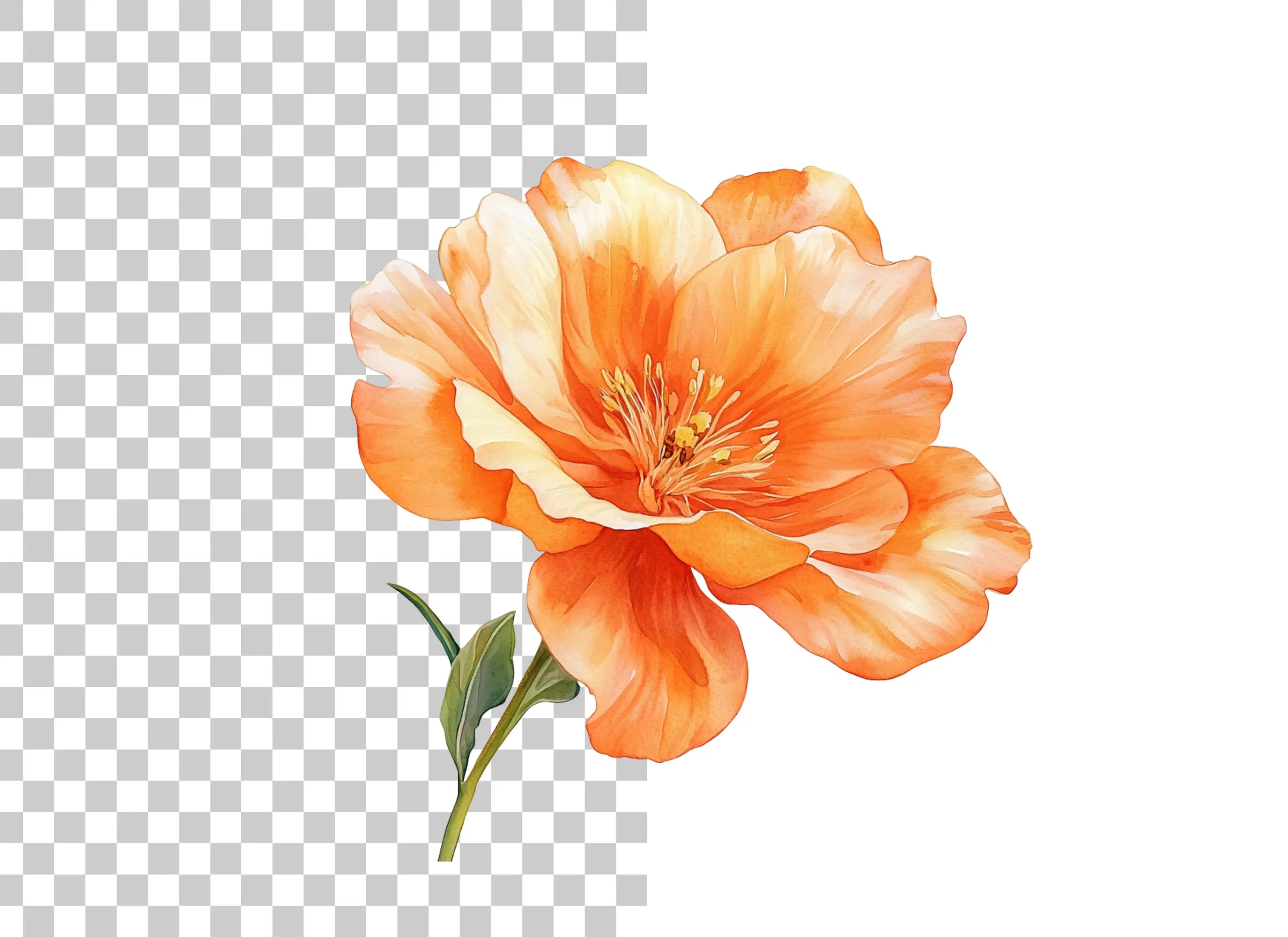 Vibrant Orange Flower Clipart Bundle