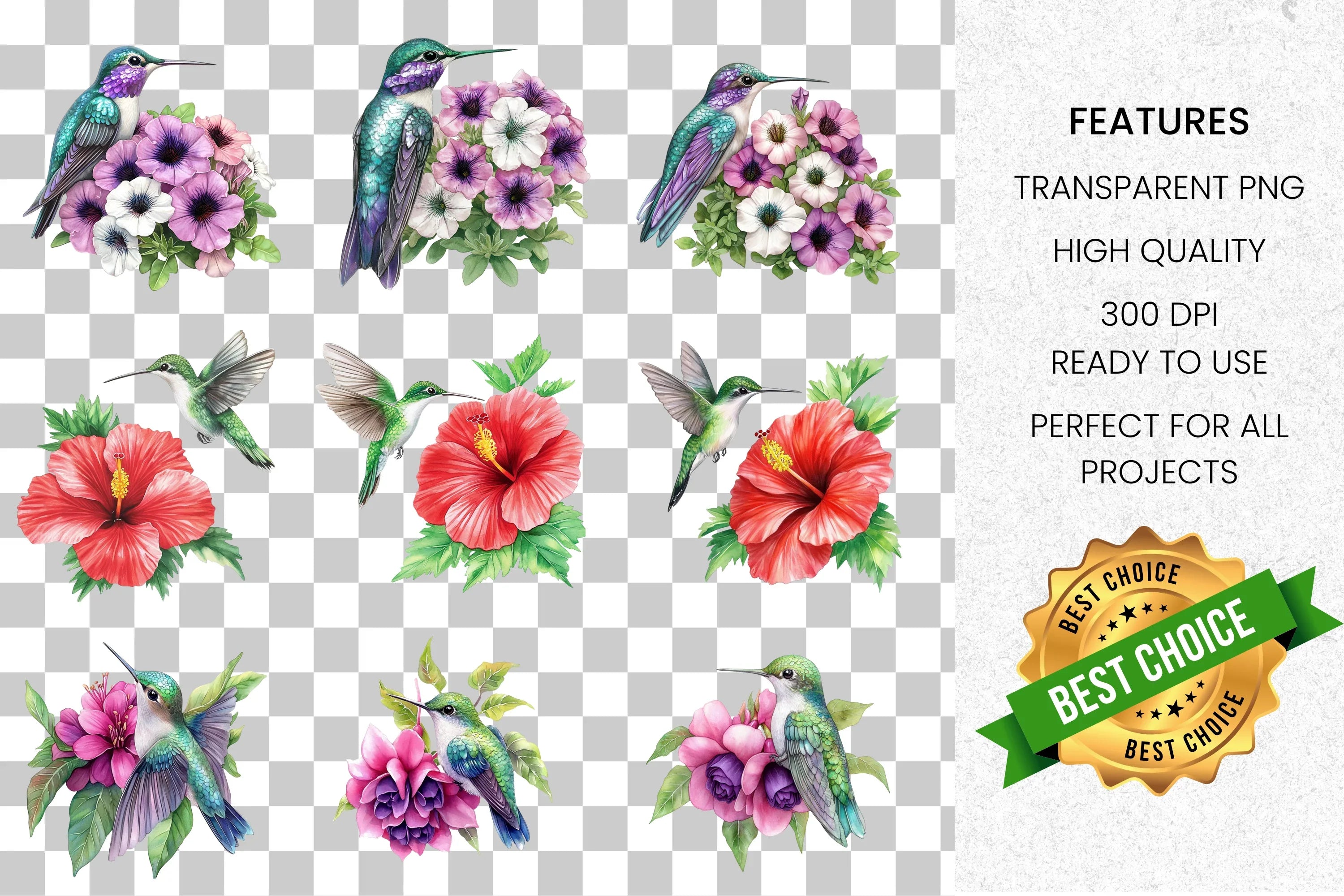 Vibrant Hummingbird Blossom Clipart Bundle