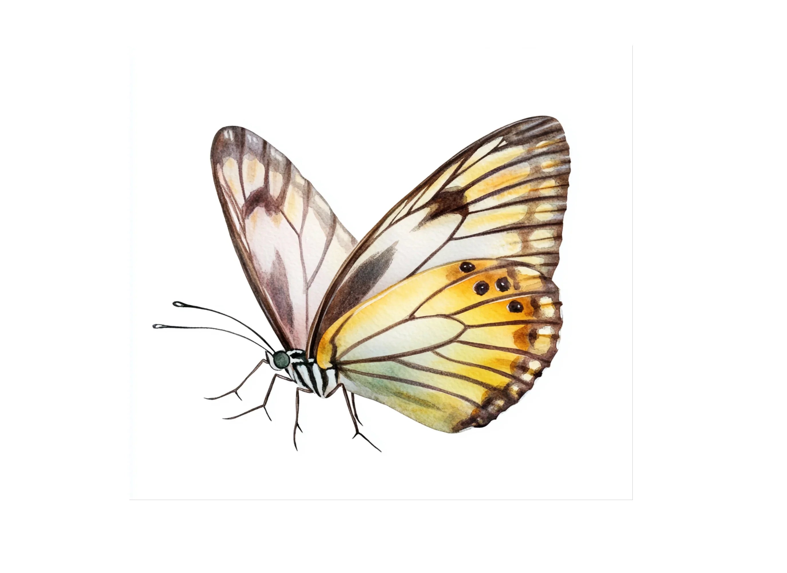 Yellow Butterfly Clipart Bundle