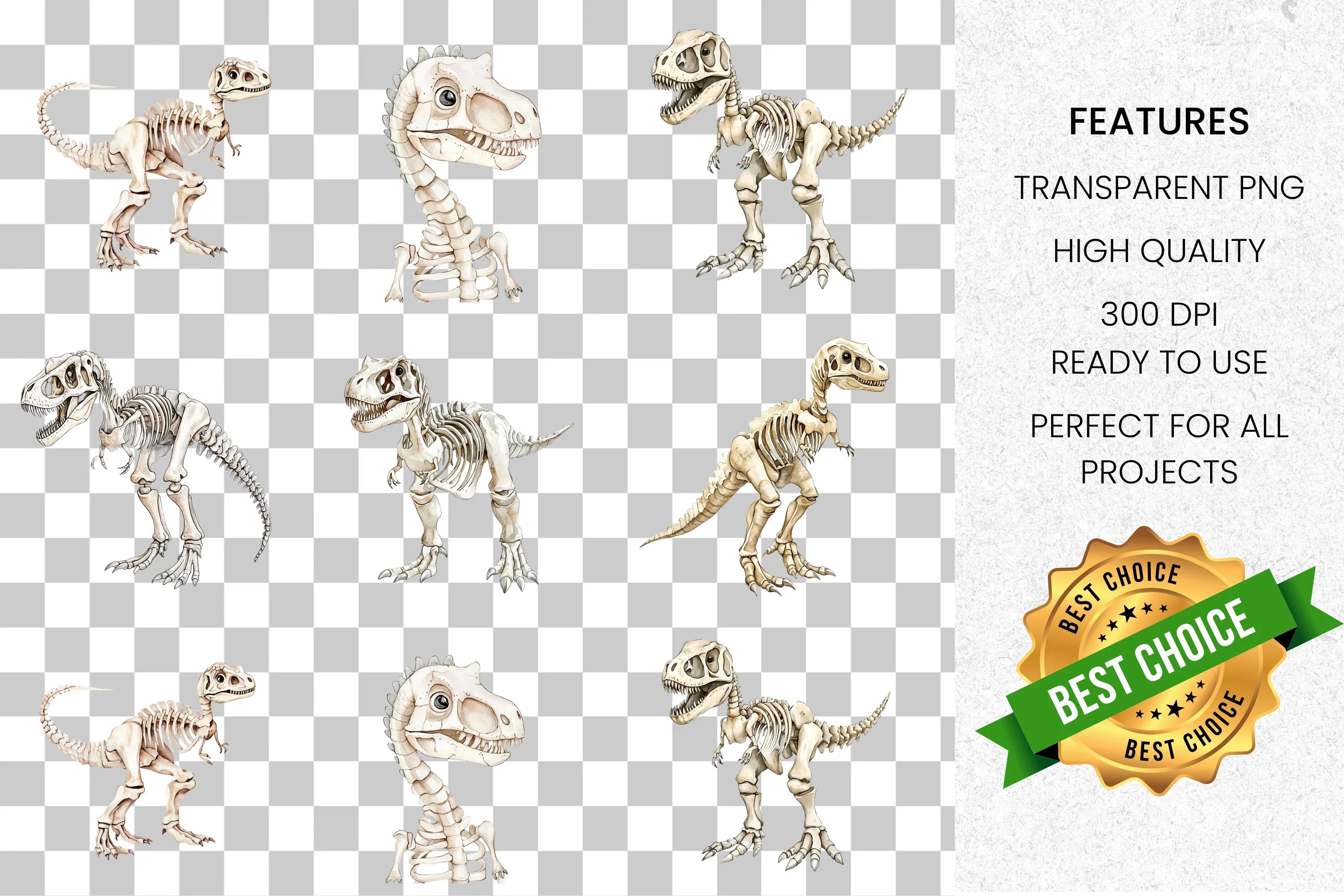 Dinosaur Skeleton Clipart Bundle