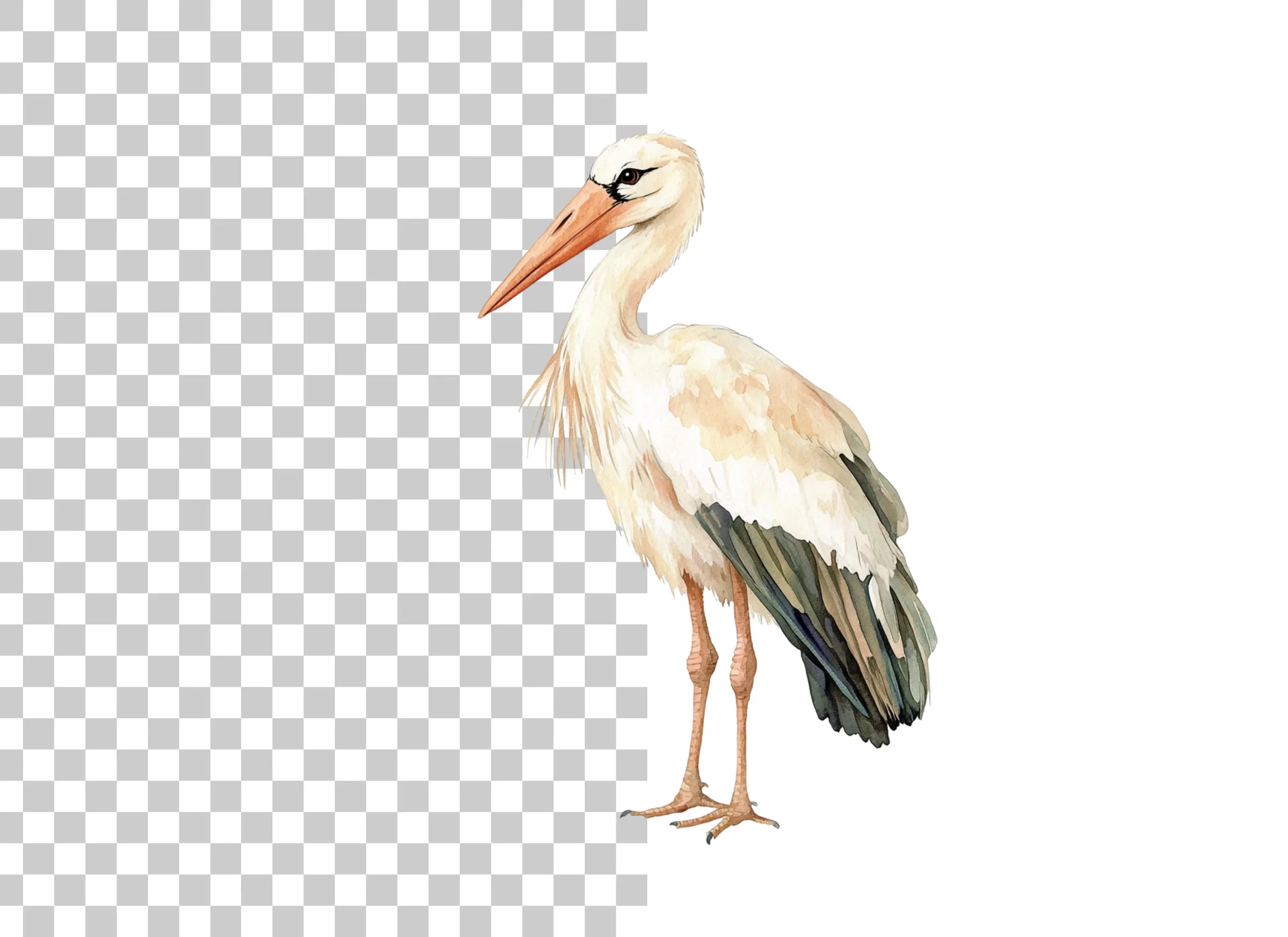 Elegant White Stork Clipart Bundle