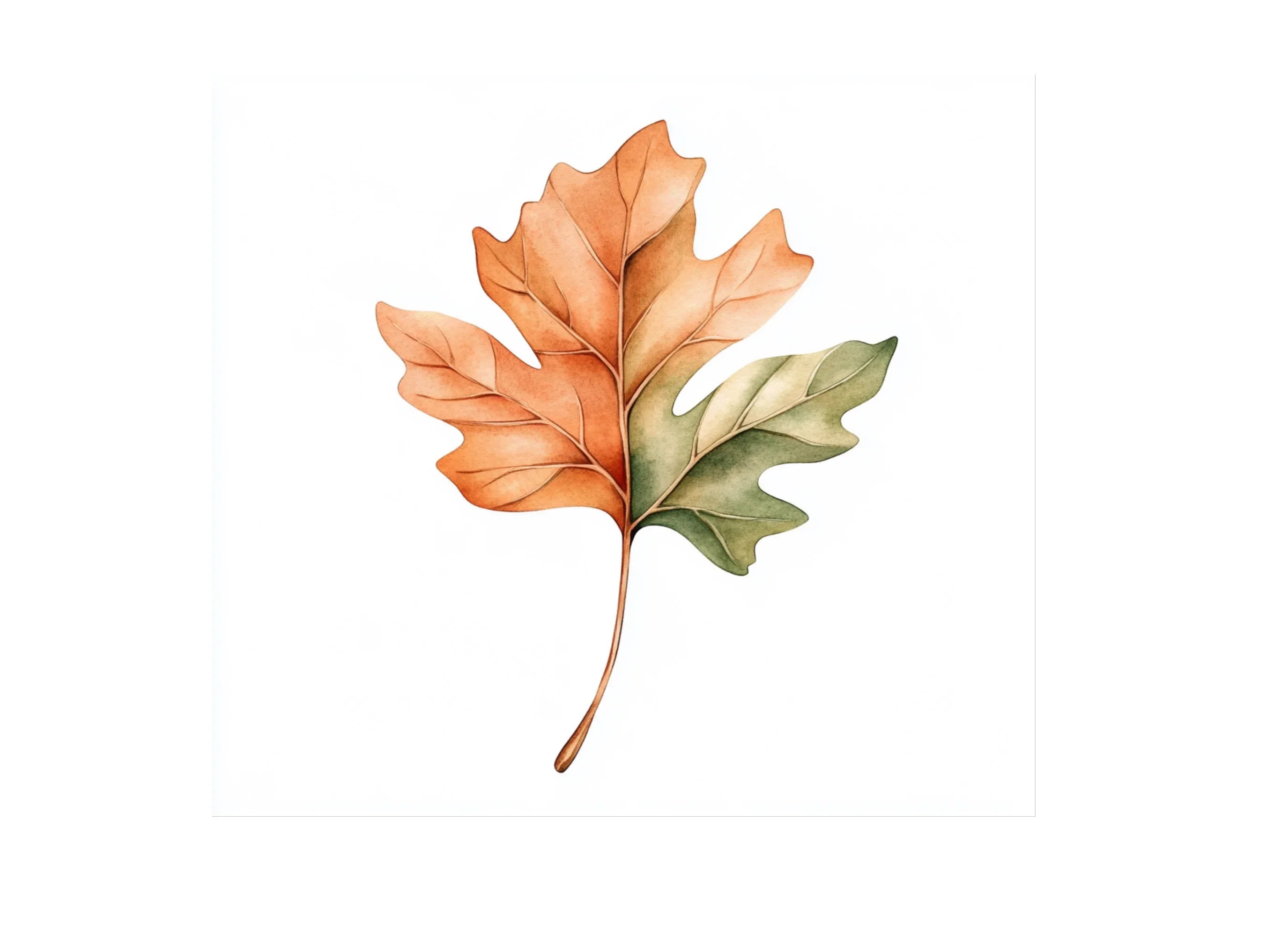 Autumn Leaves Clipart Bundle