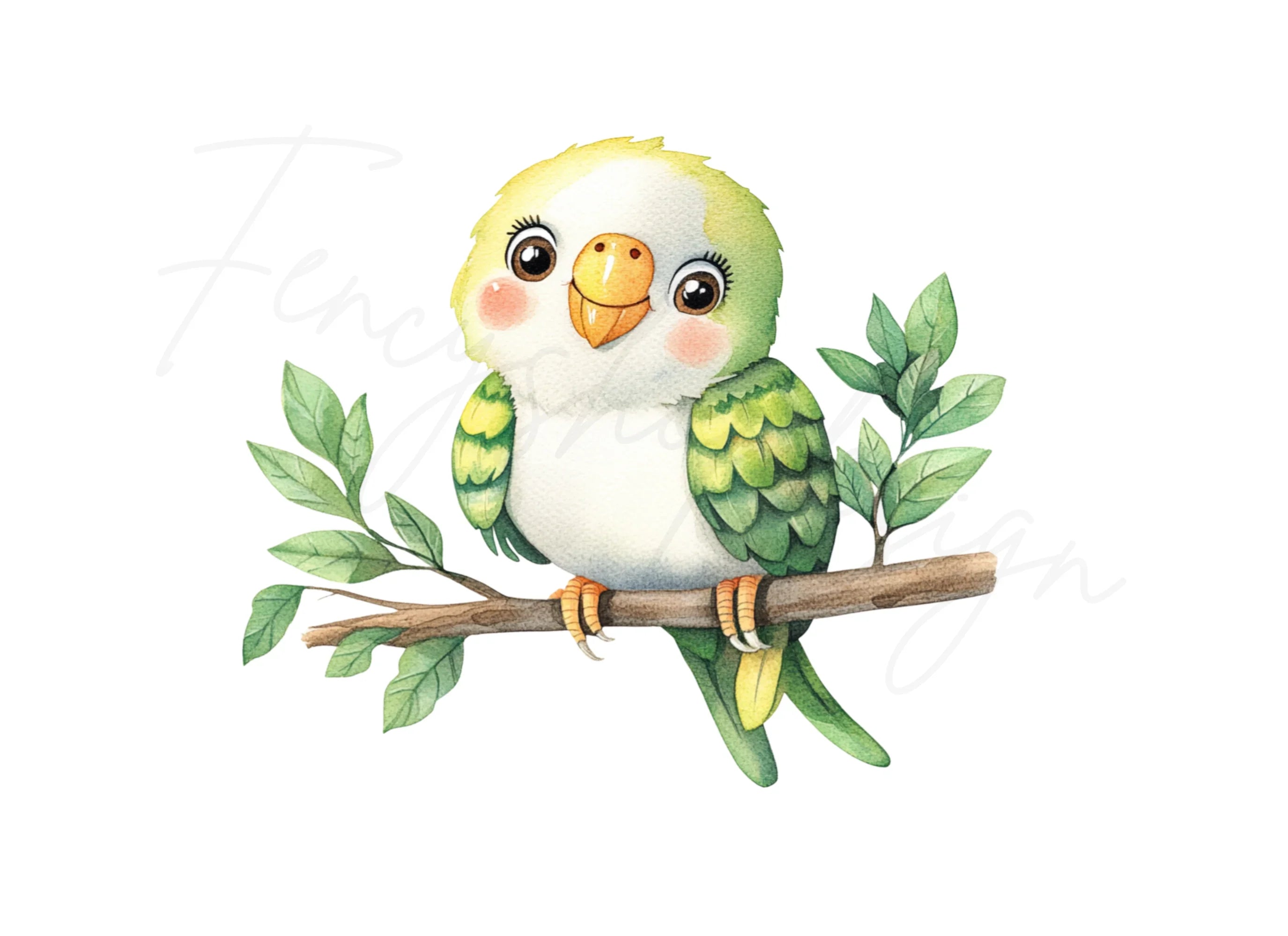 Cute Parrot Clipart Bundle