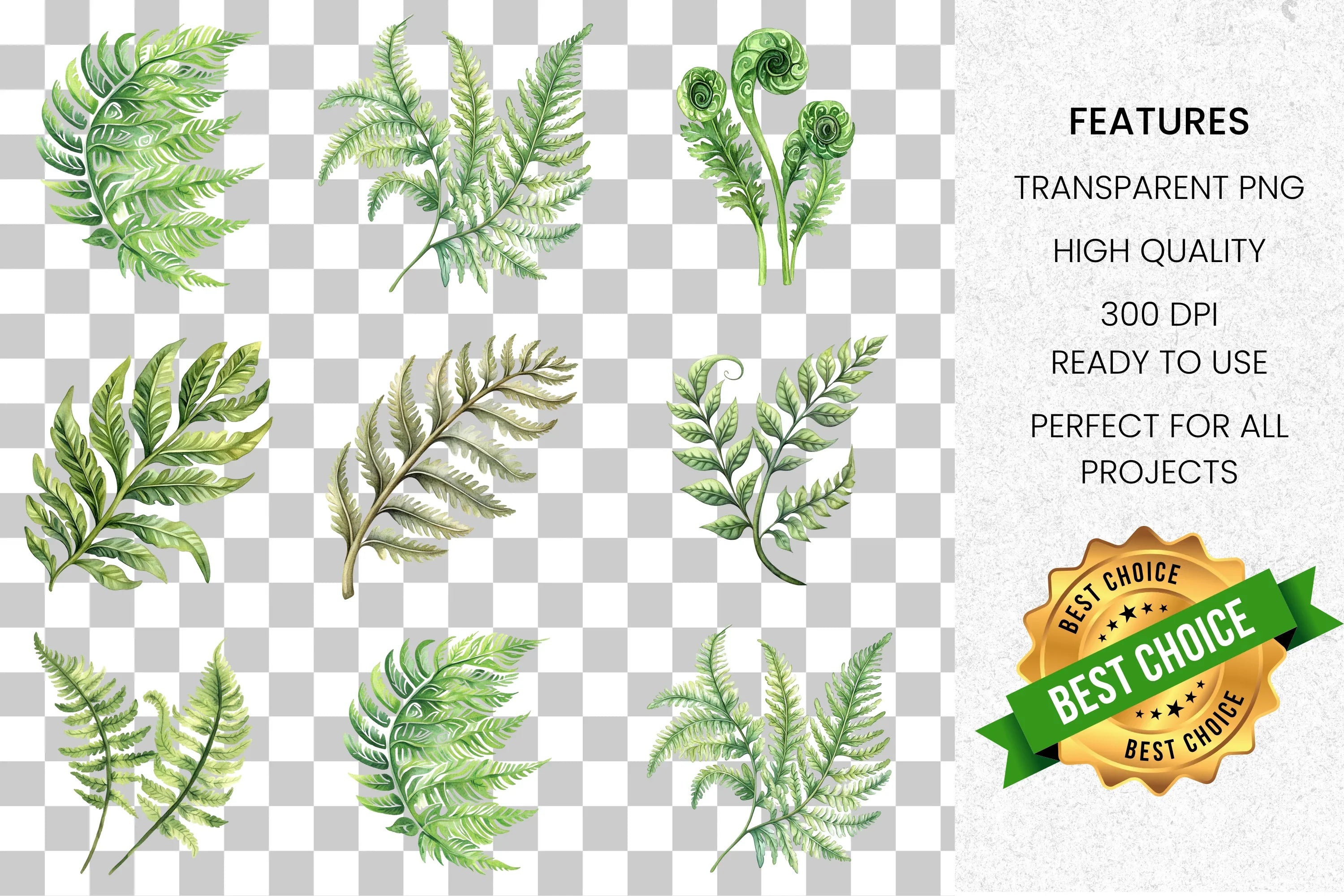 Fern Leaves Clipart Bundle