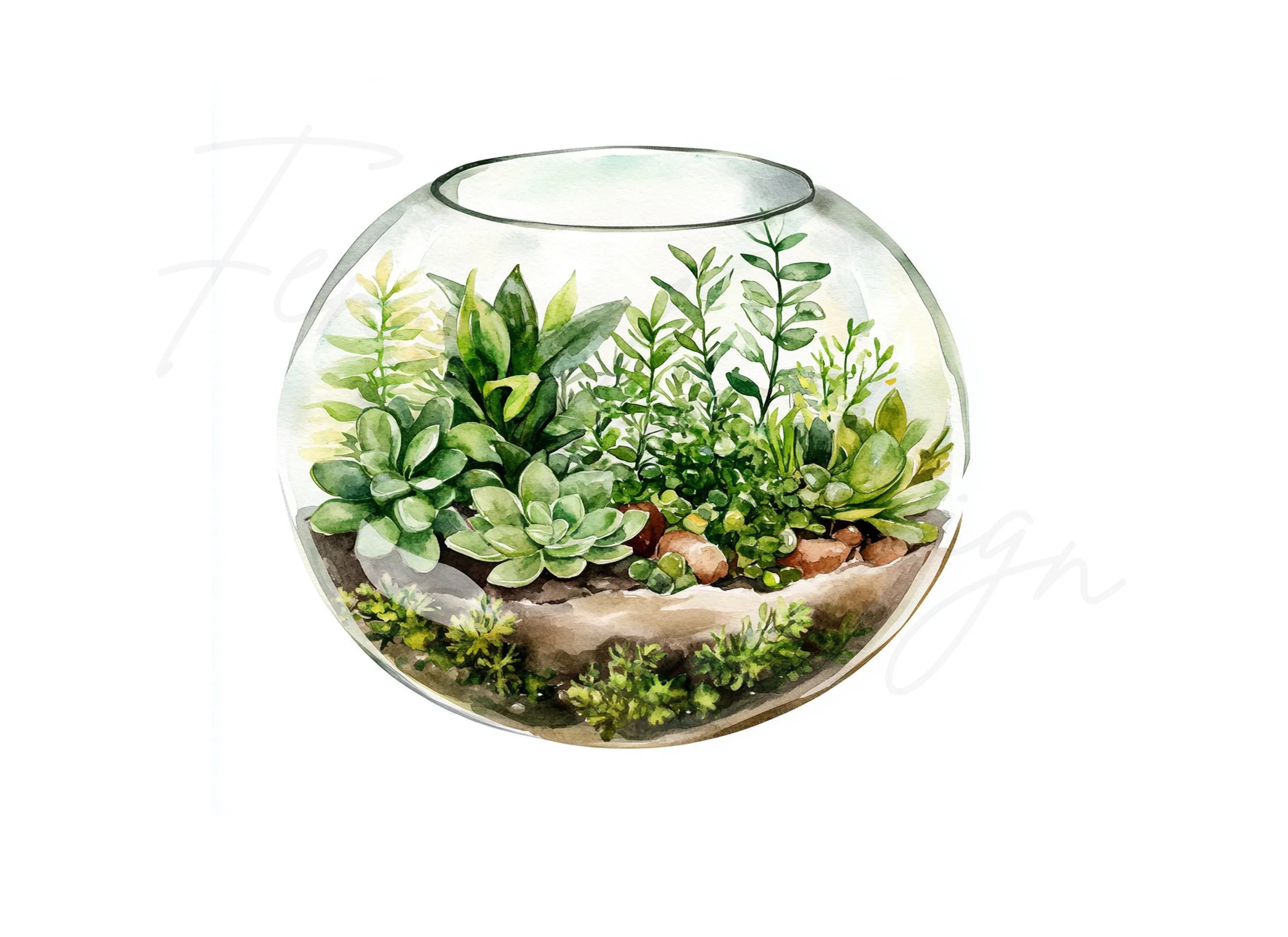 Terrarium Clipart Bundle