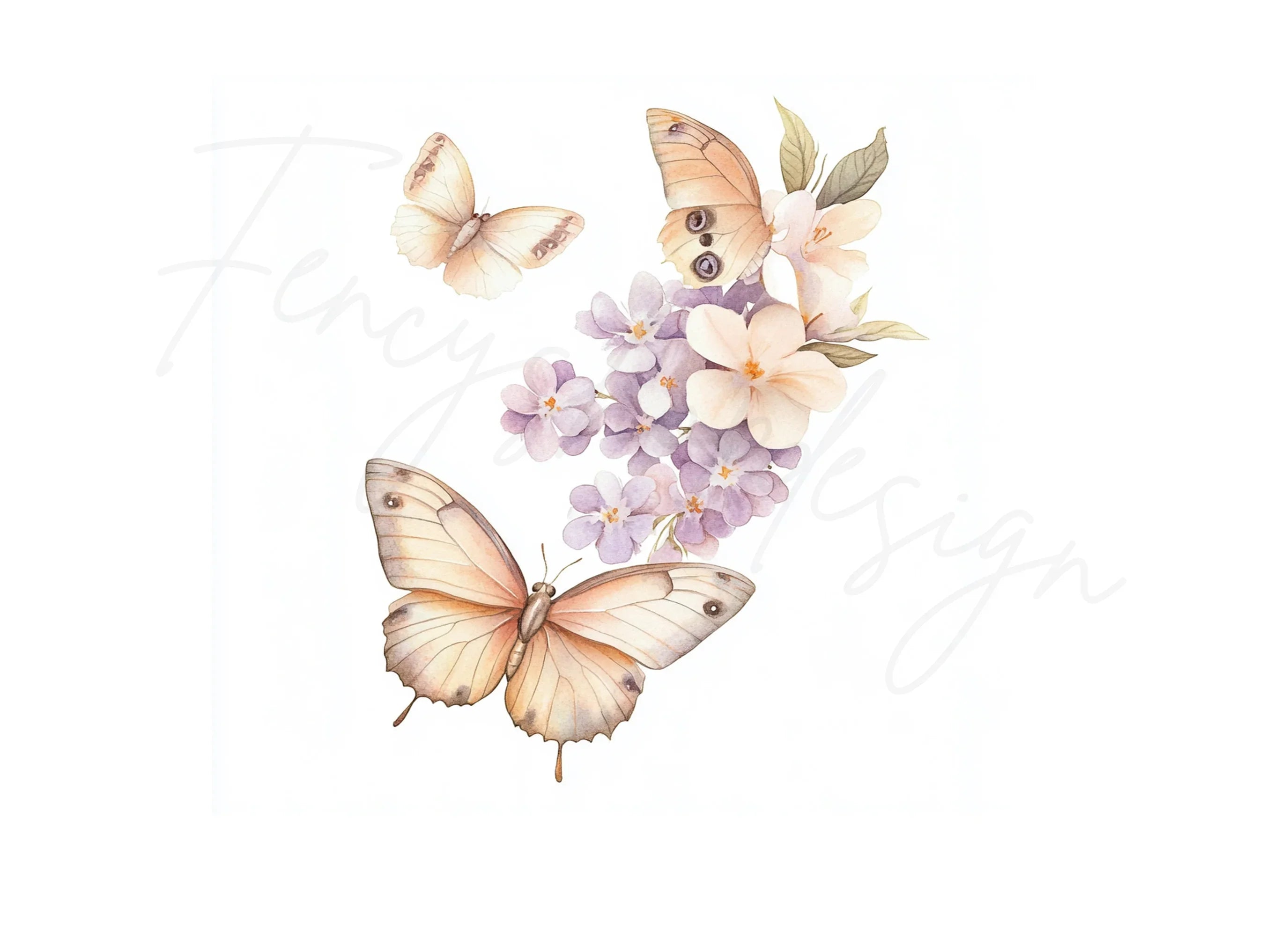 Butterfly Floral Clipart Bundle