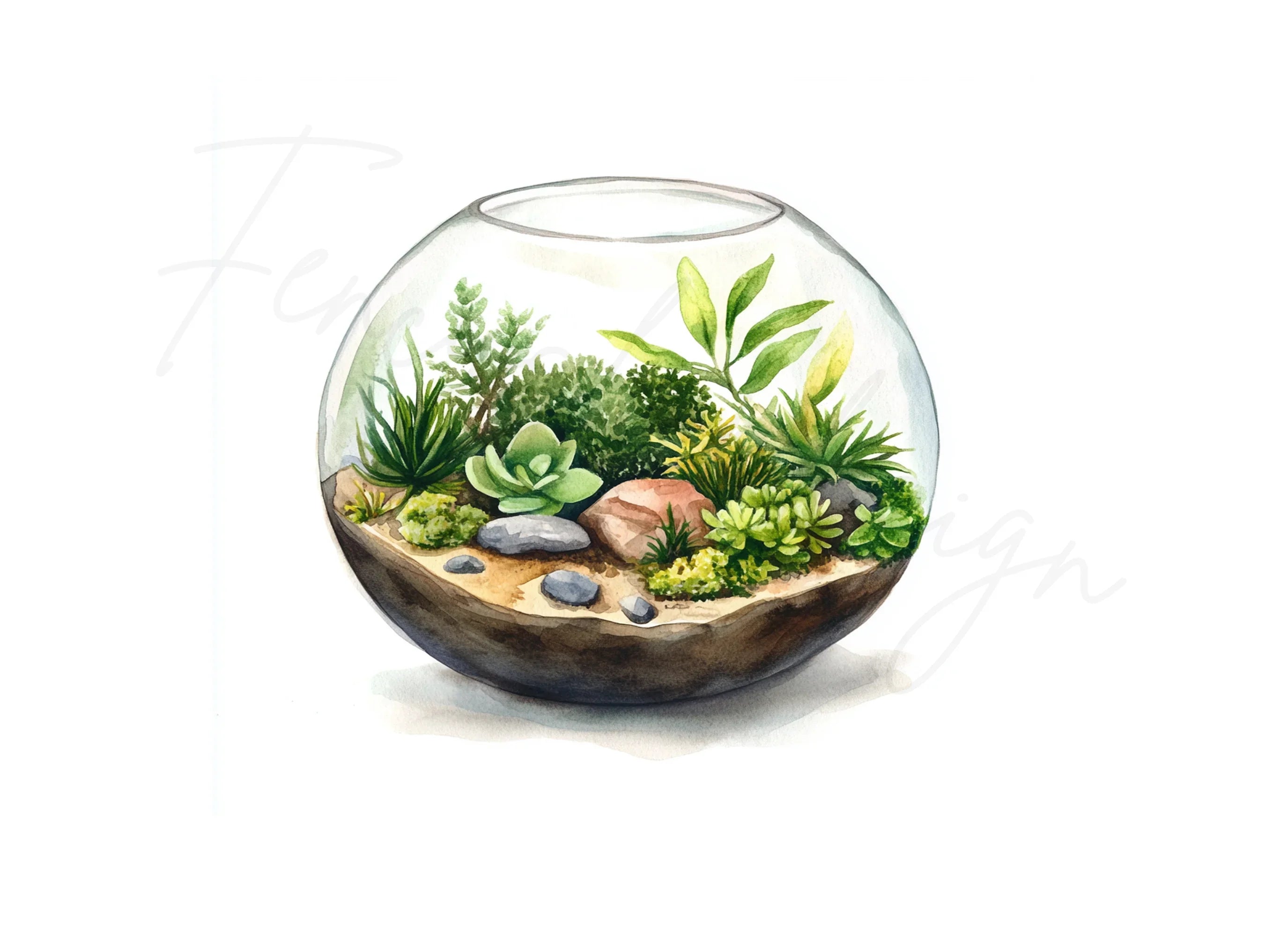 Terrarium Clipart Bundle