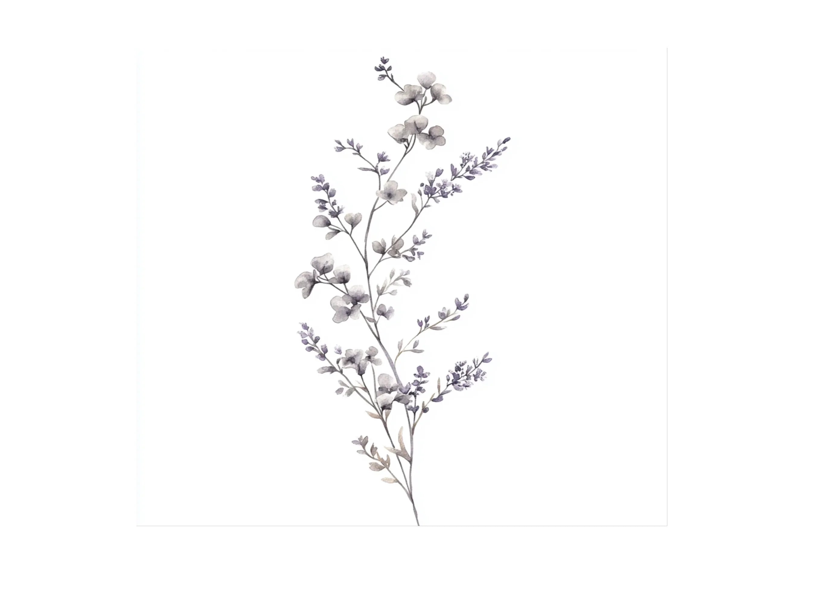 Eucalyptus and Lavender Clipart Bundle